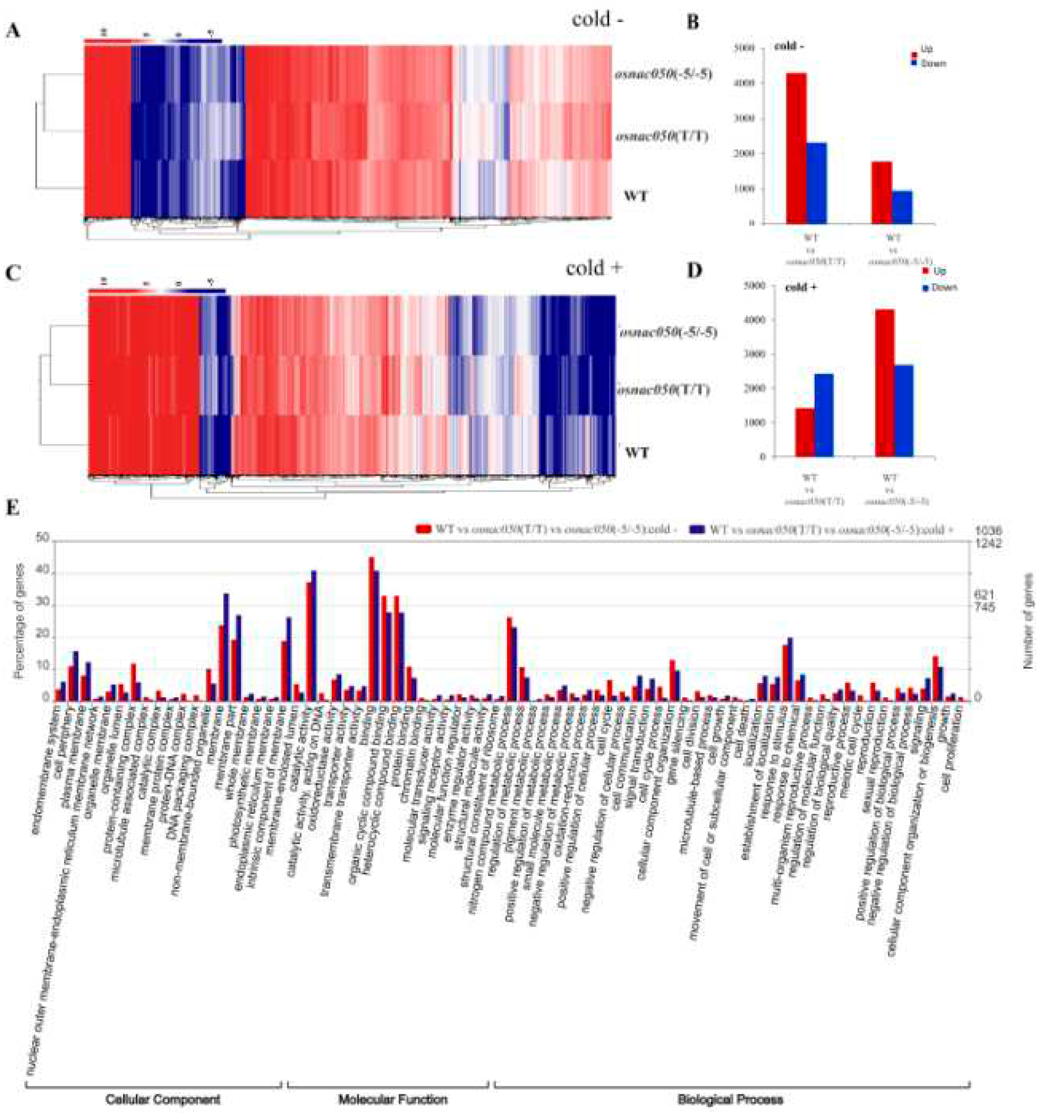 Preprints 73038 g004