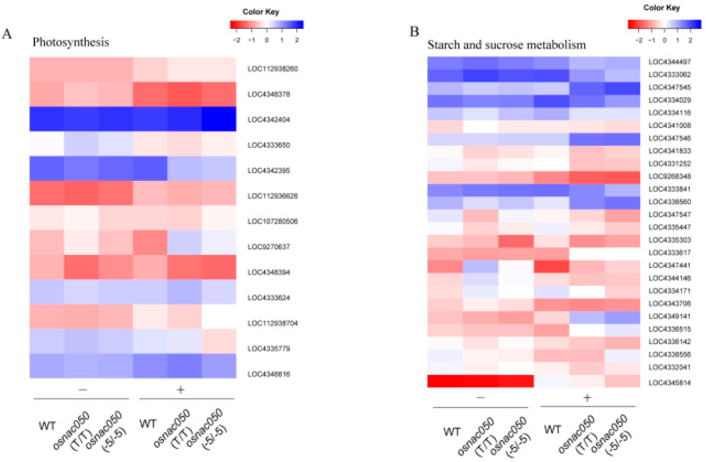 Preprints 73038 g005