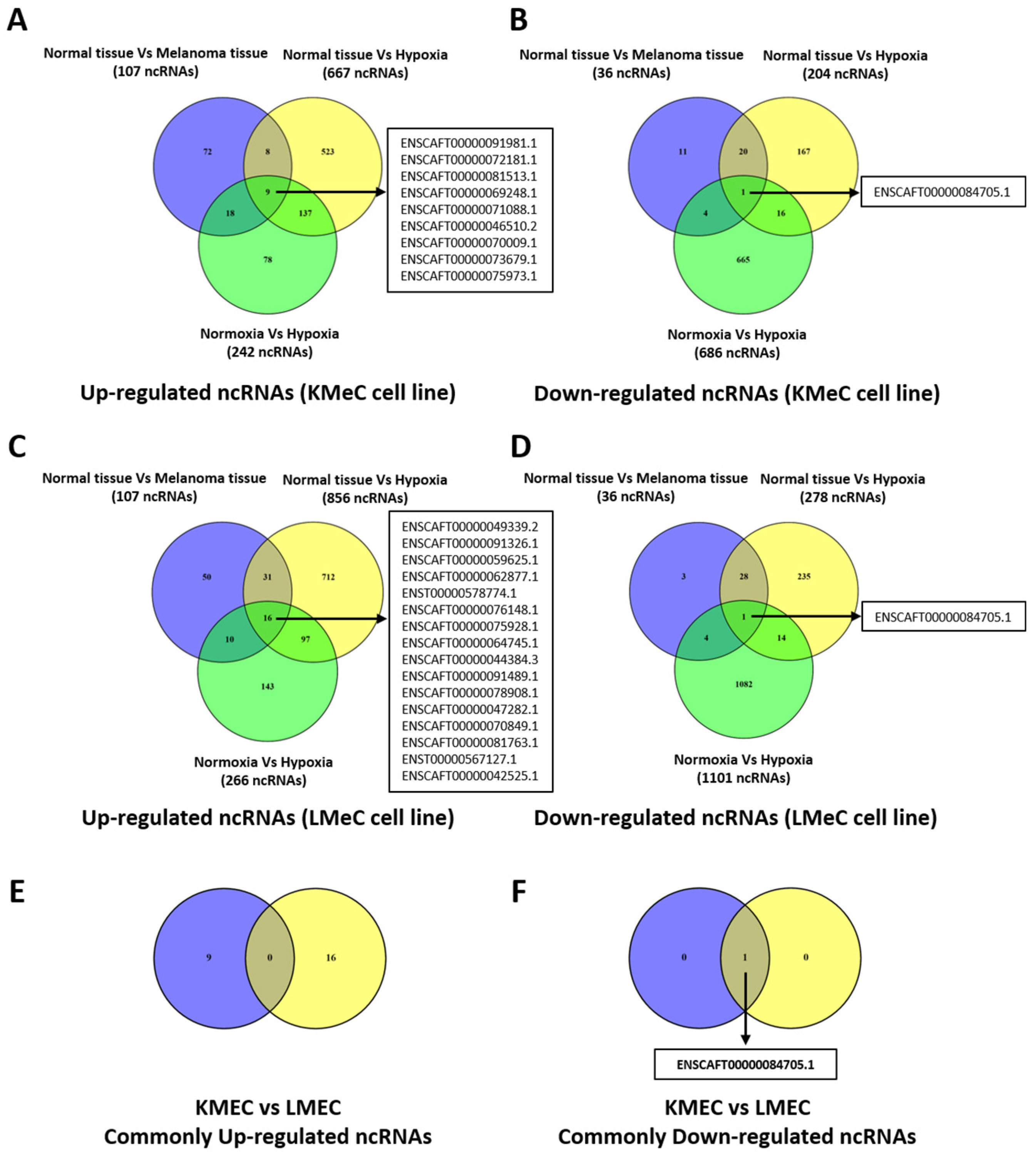 Preprints 111207 g002