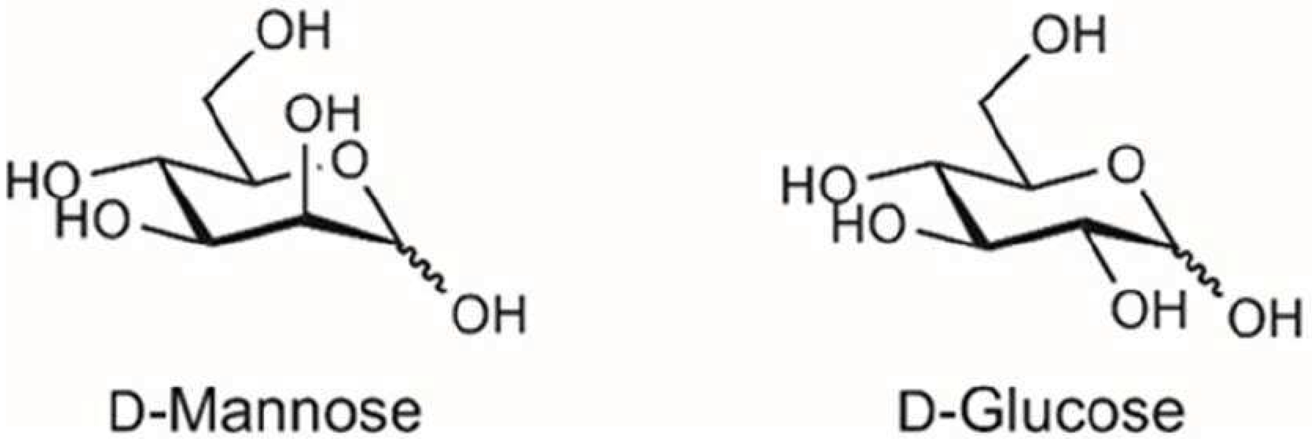 Preprints 70005 g001