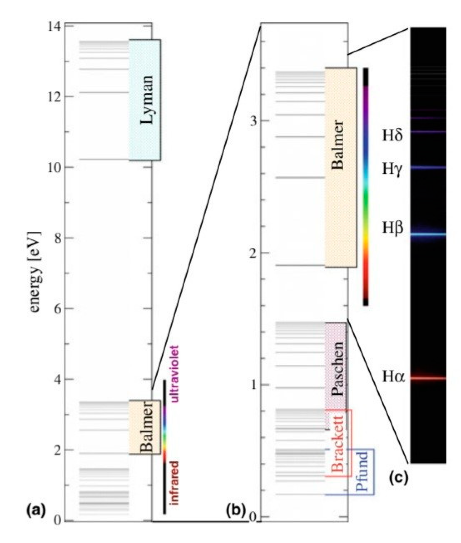 Preprints 137507 g002