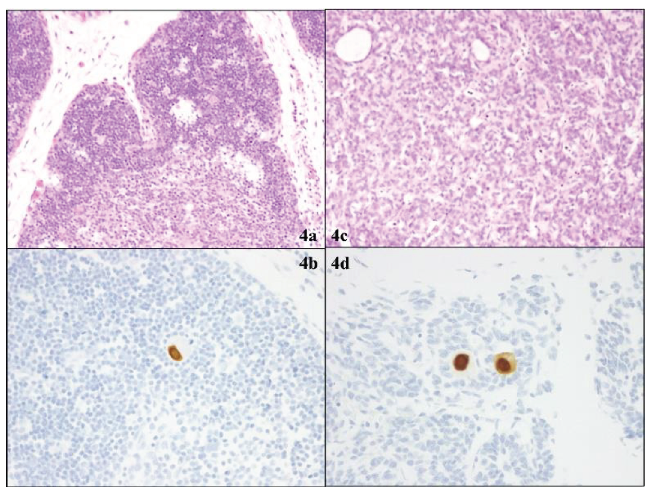 Preprints 102659 g004