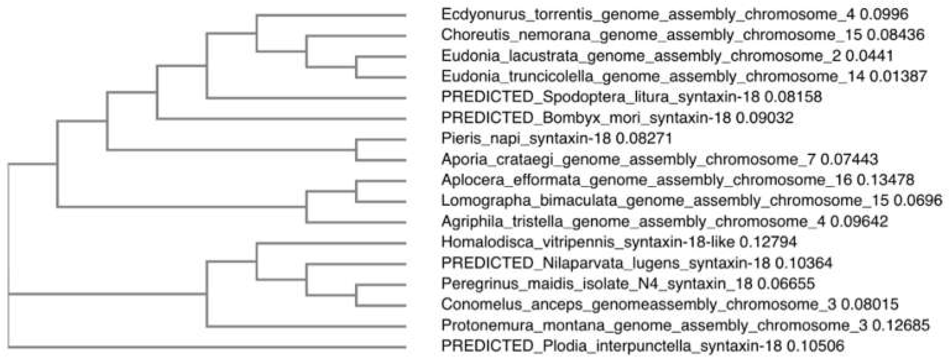 Preprints 118683 g002