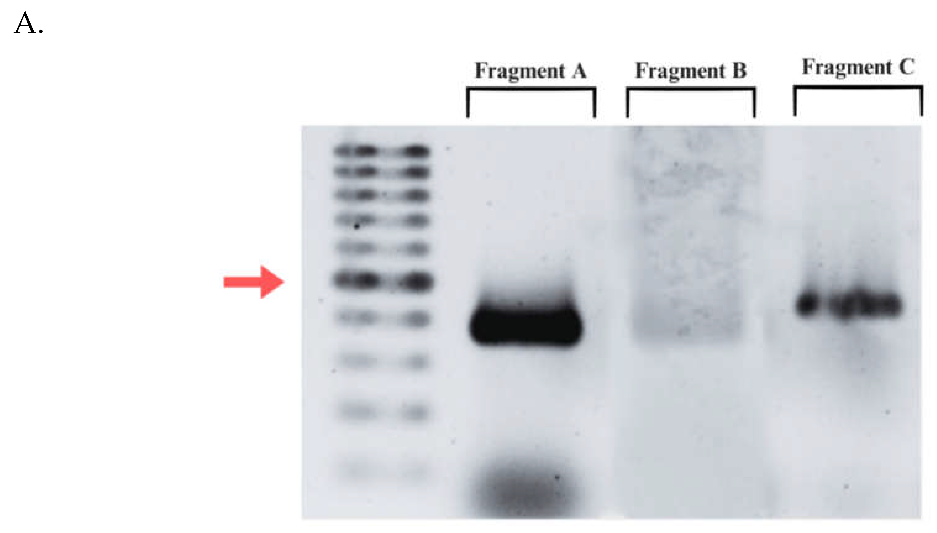 Preprints 118683 g004a