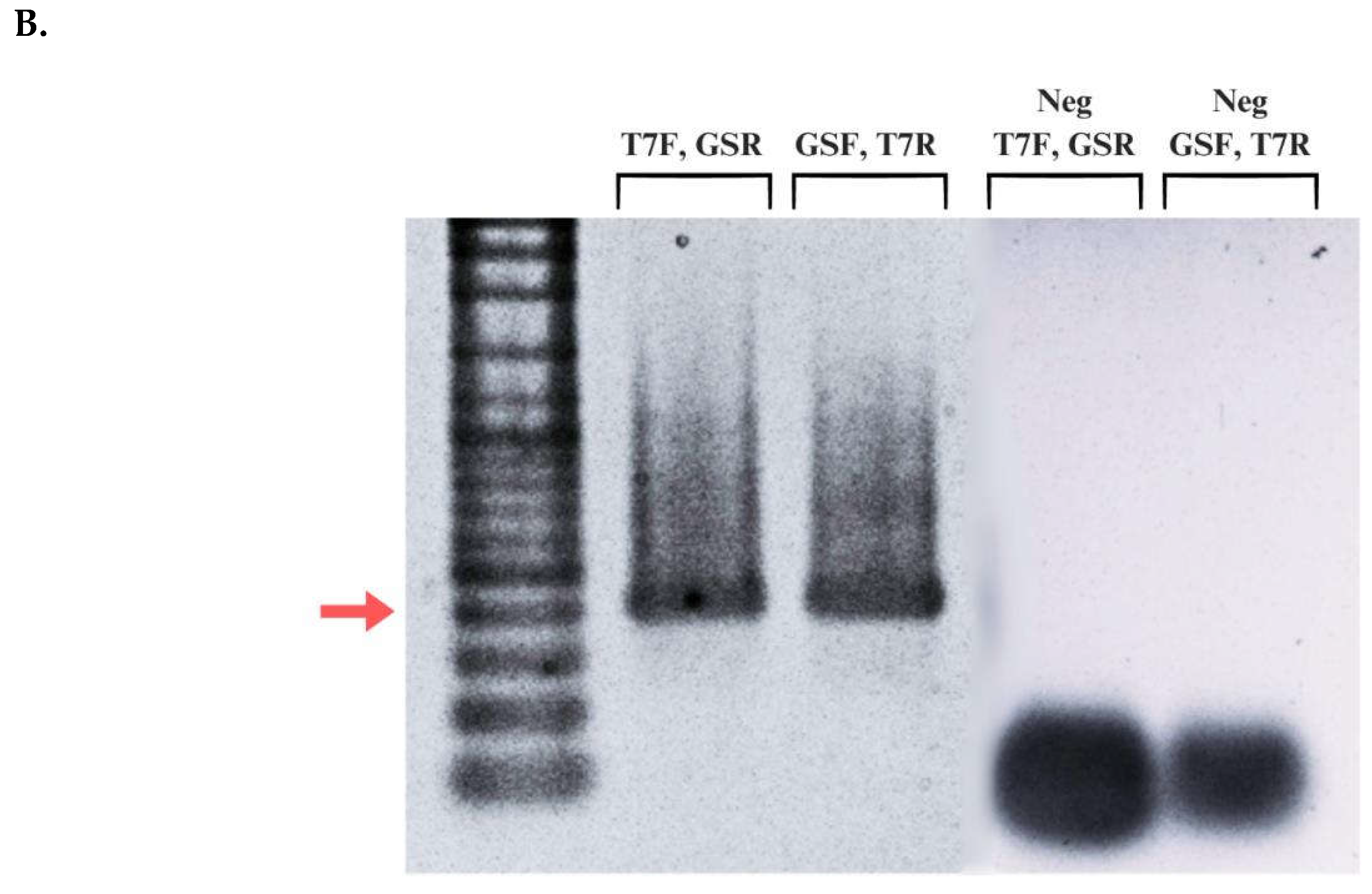 Preprints 118683 g004b