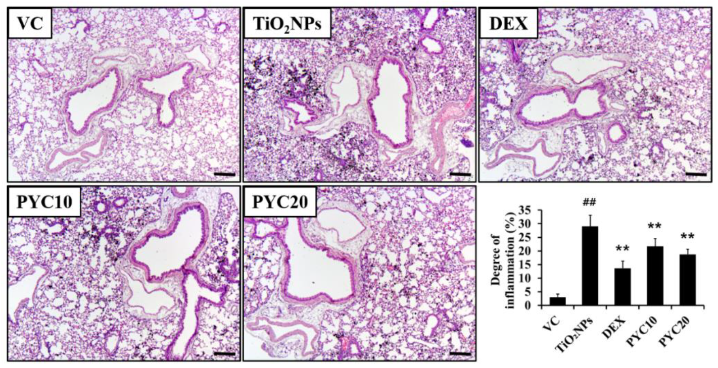 Preprints 111542 g003