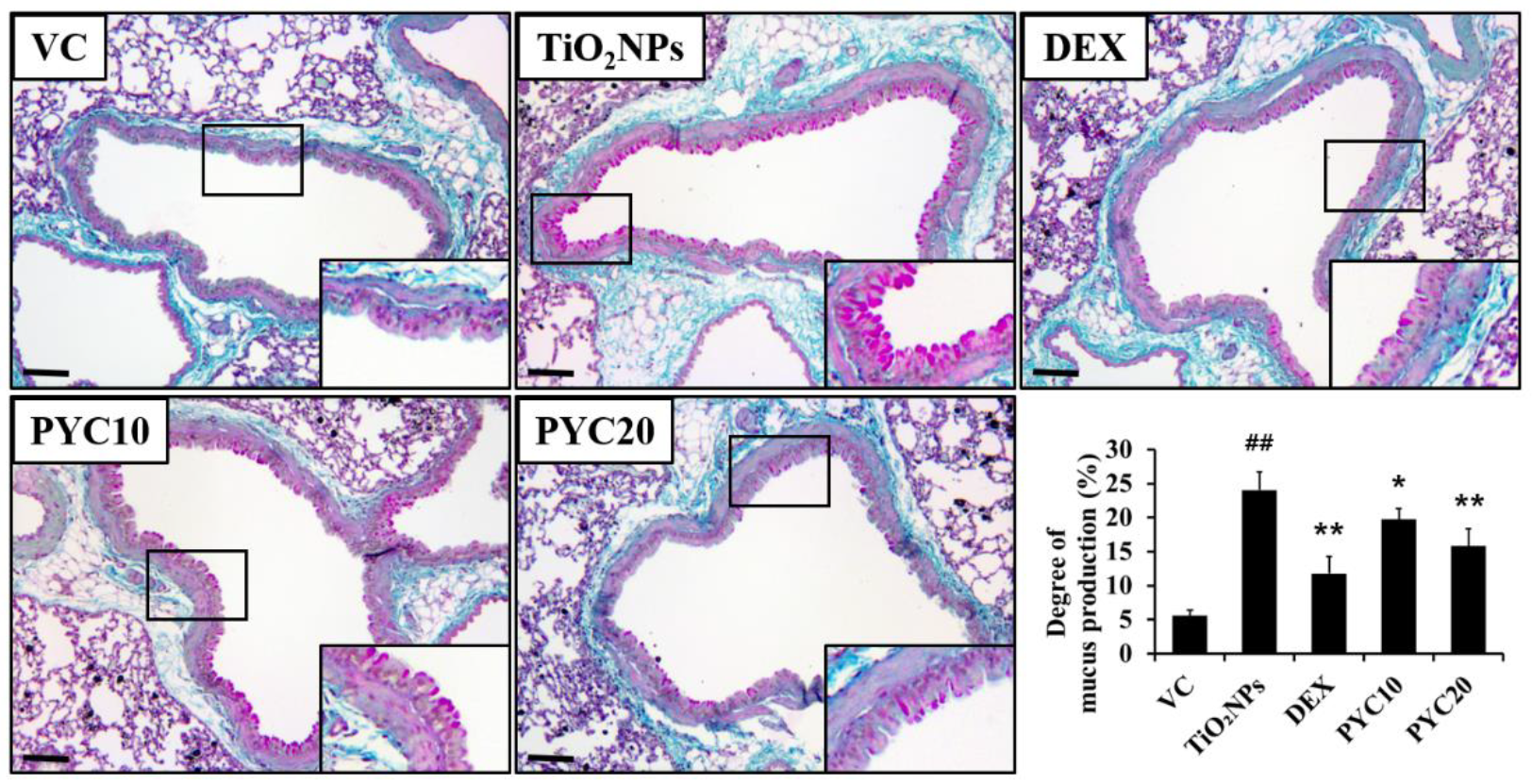 Preprints 111542 g004