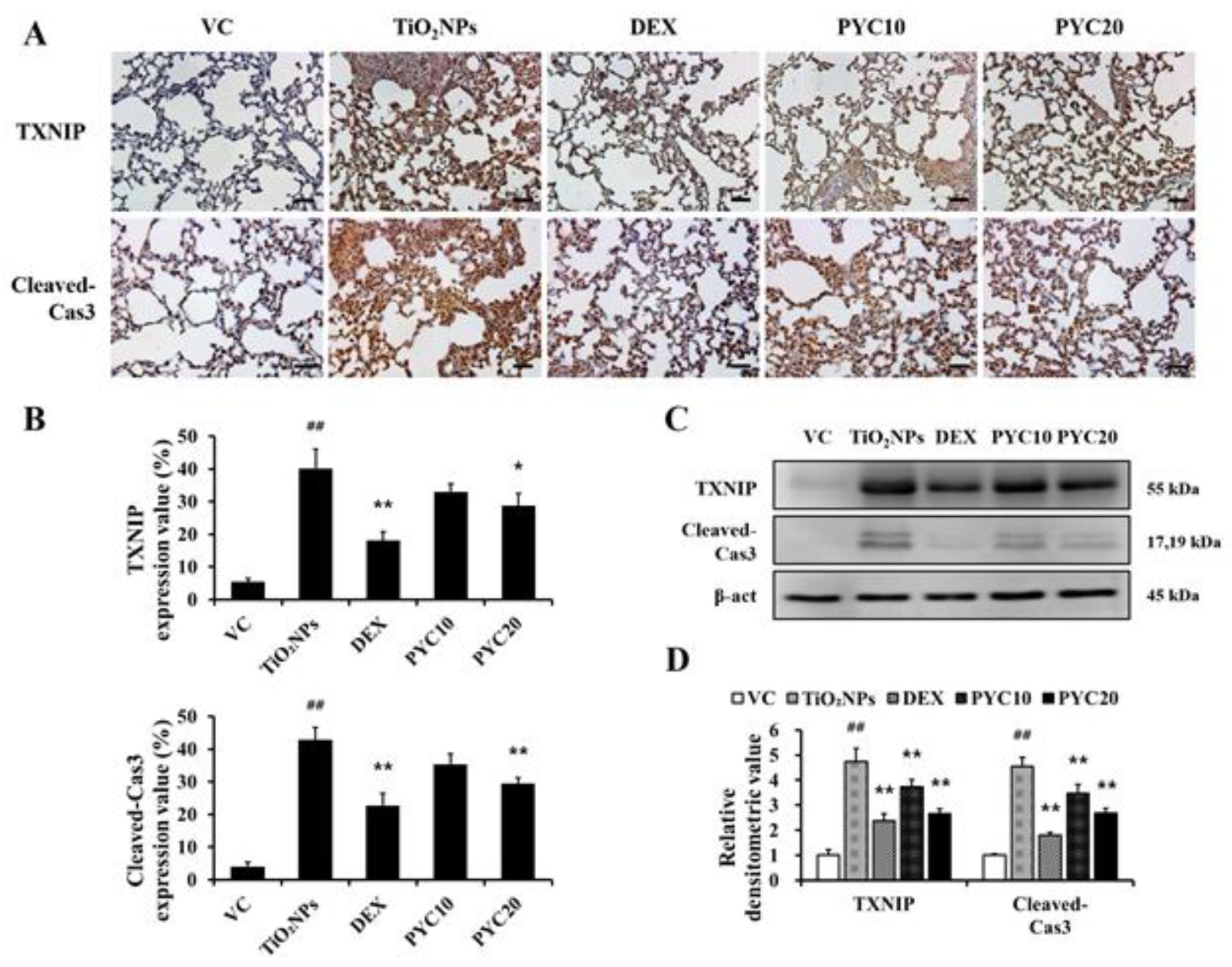 Preprints 111542 g006