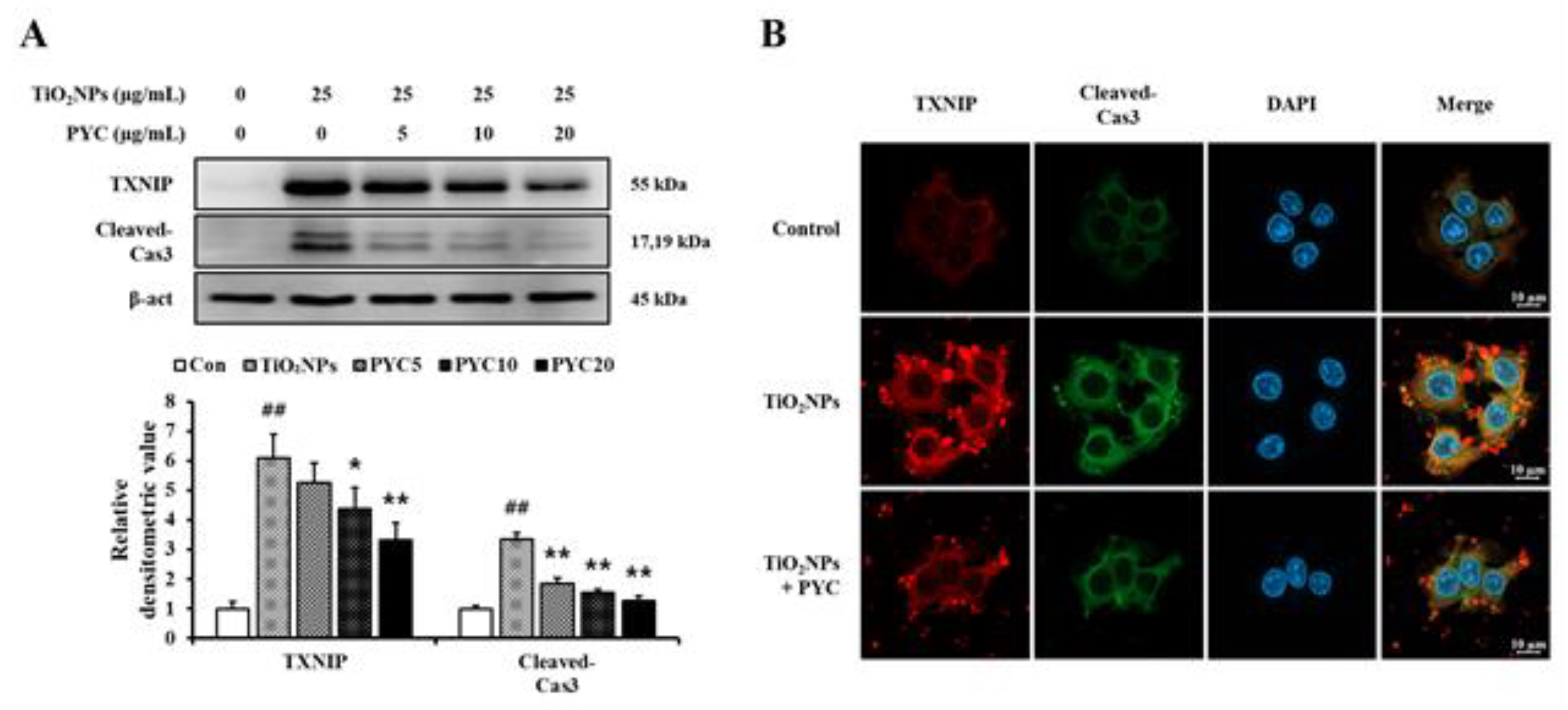 Preprints 111542 g008