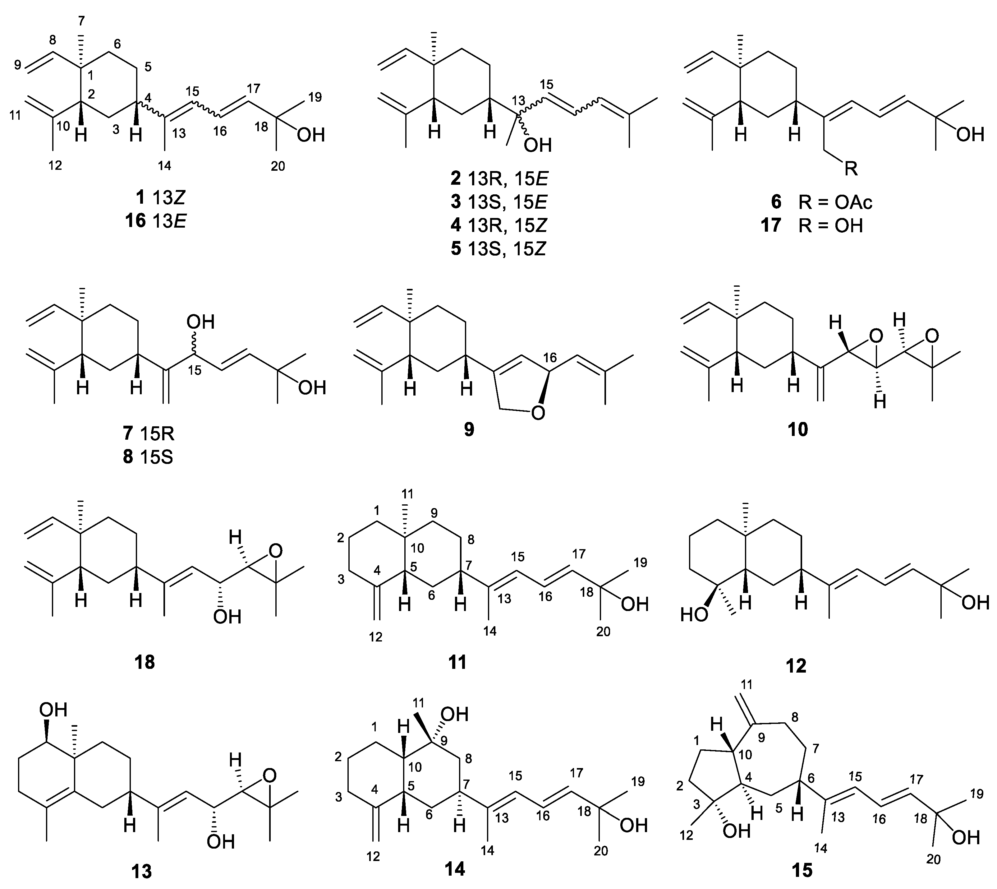 Preprints 74450 g001