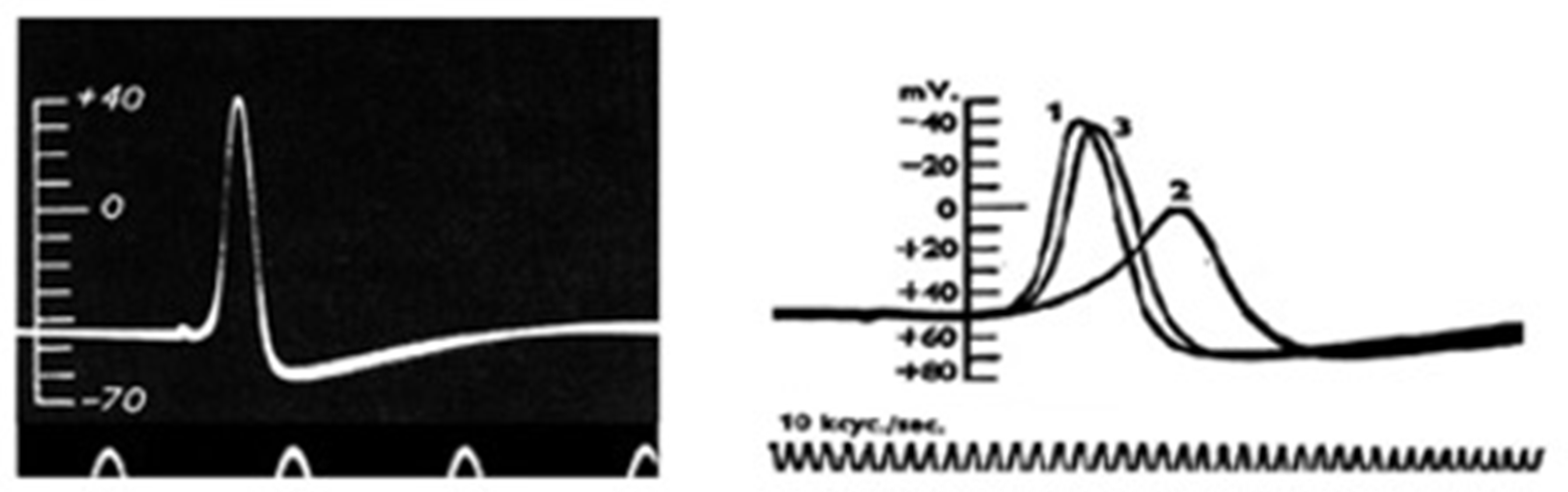 Preprints 106538 g005