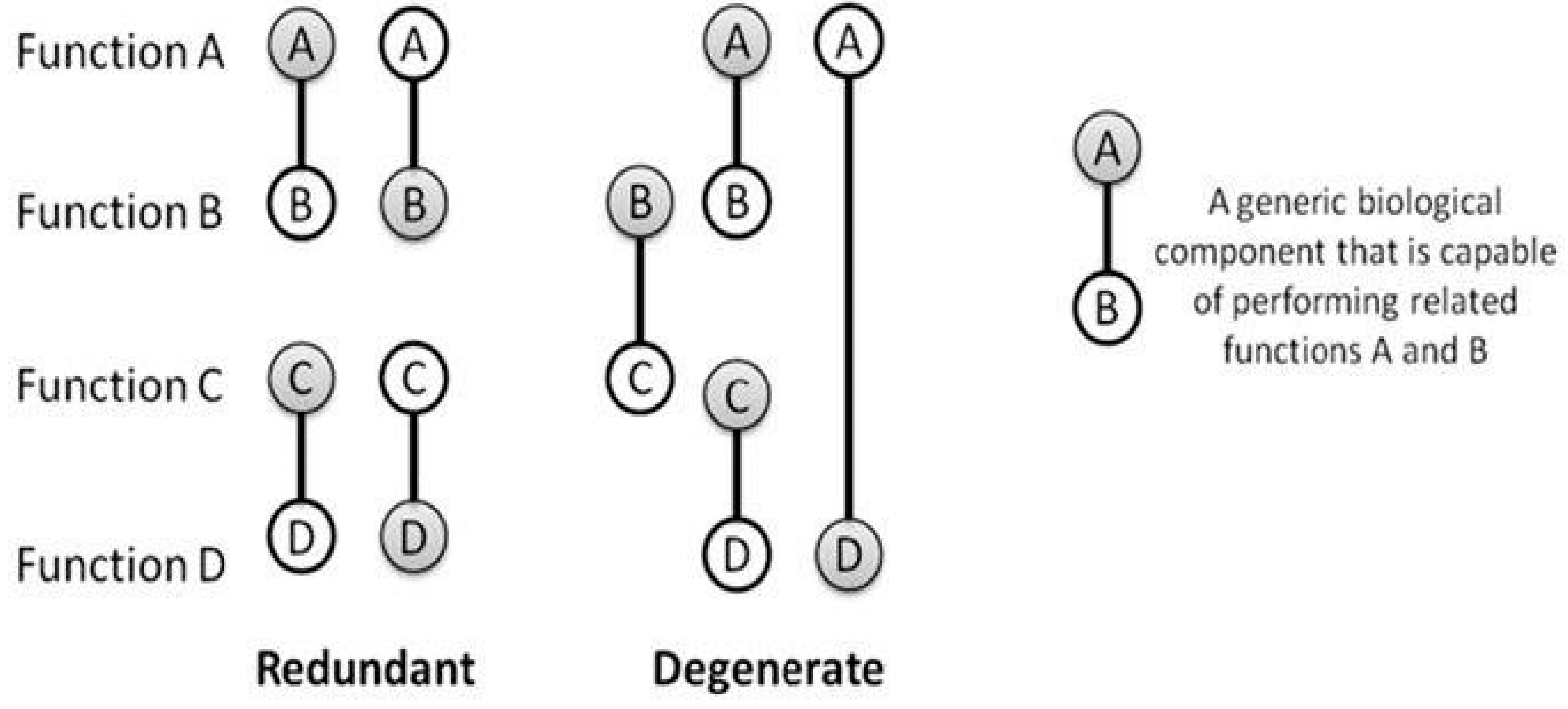 Preprints 112505 g001