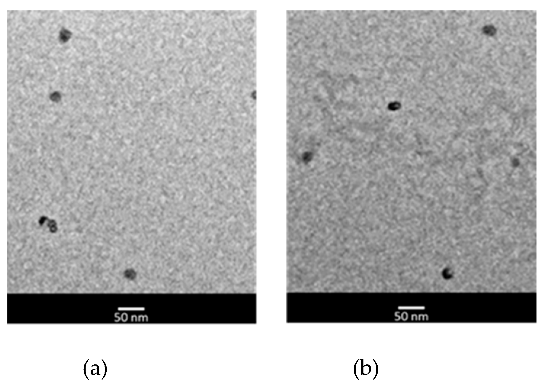 Preprints 113333 g001