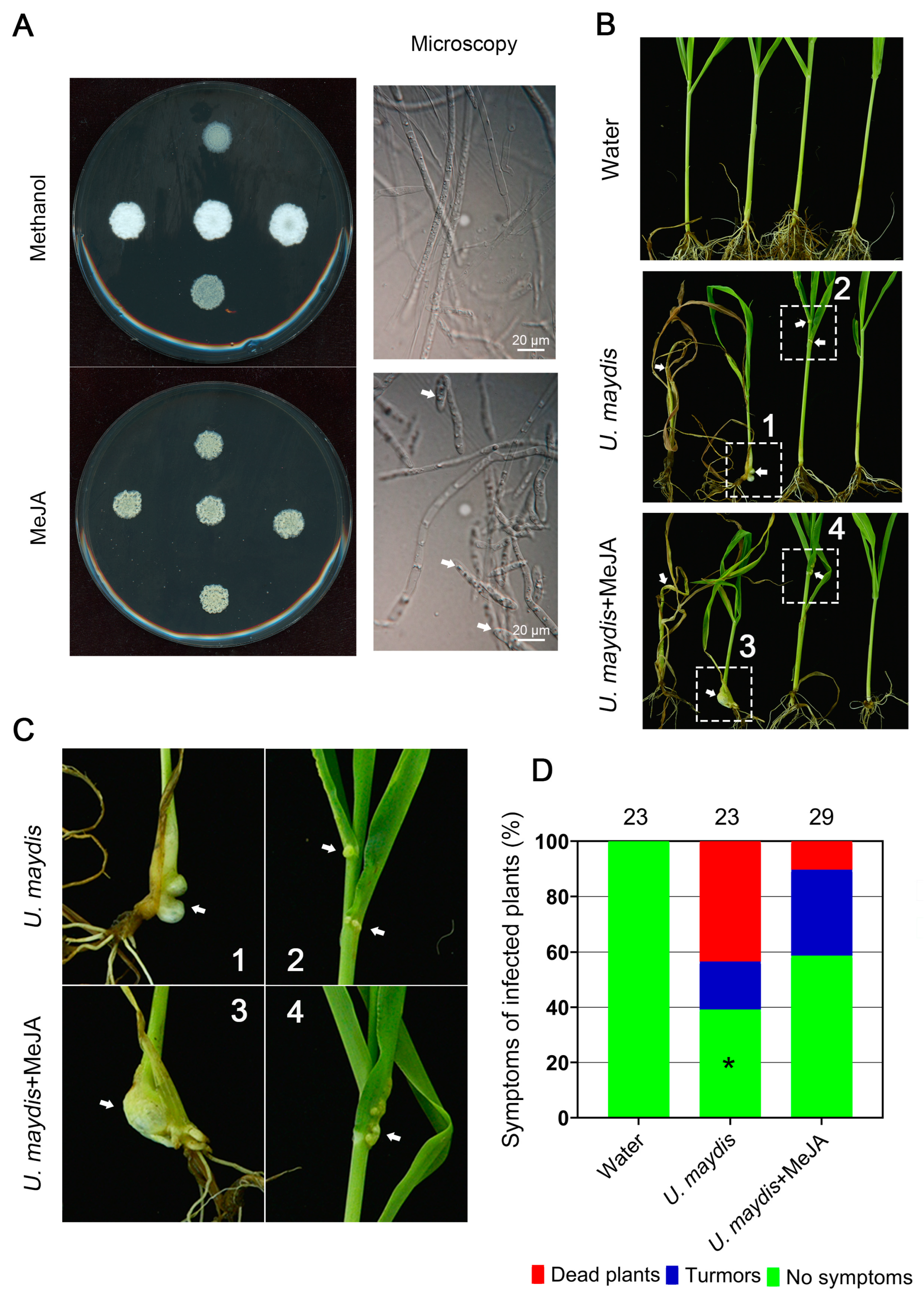 Preprints 74273 g002