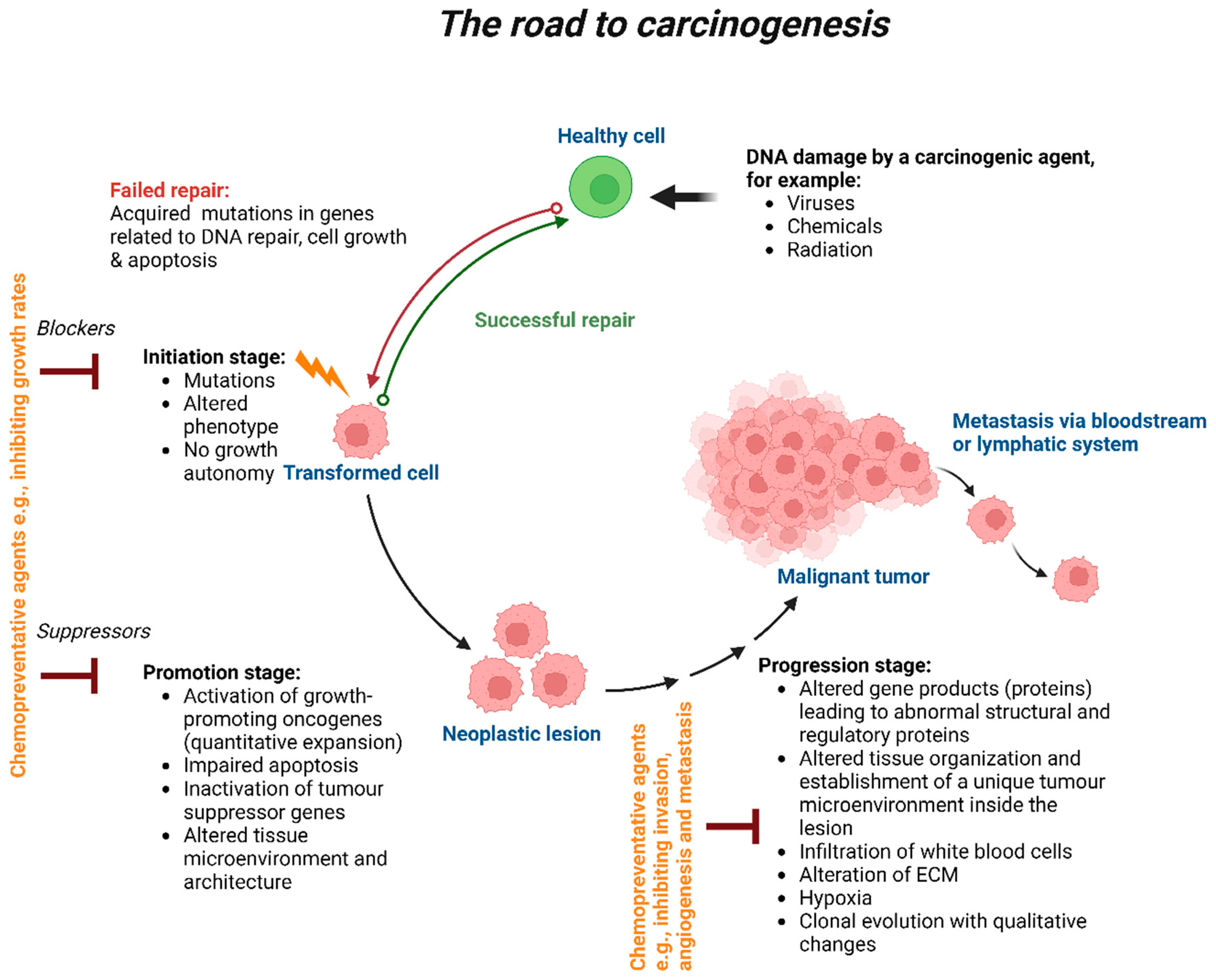 Preprints 79833 g001