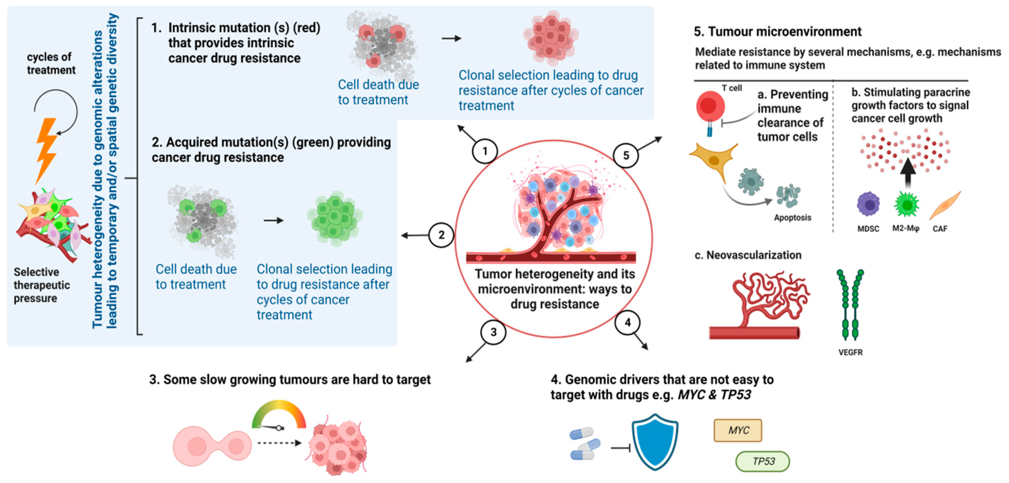 Preprints 79833 g002