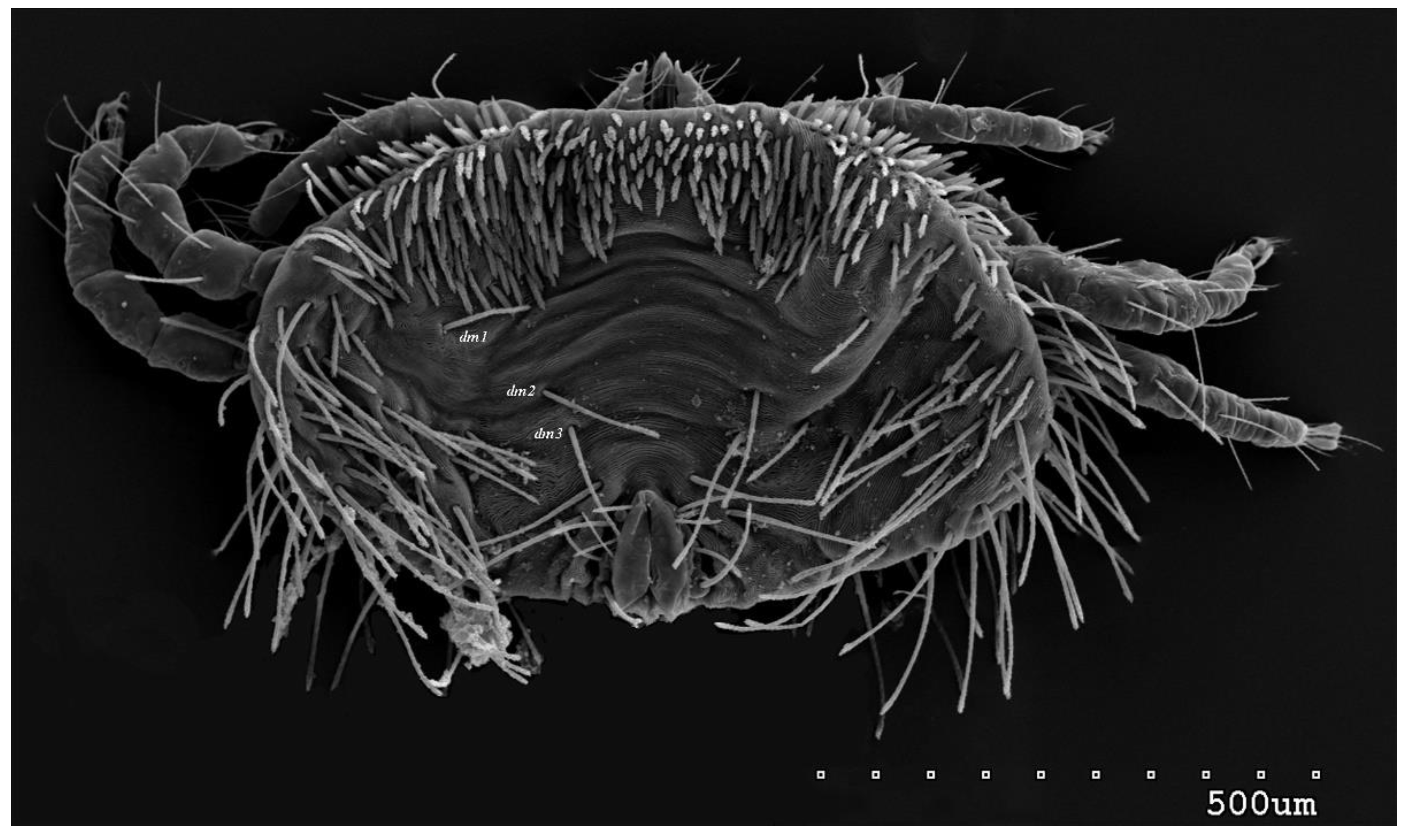 Preprints 79132 g001