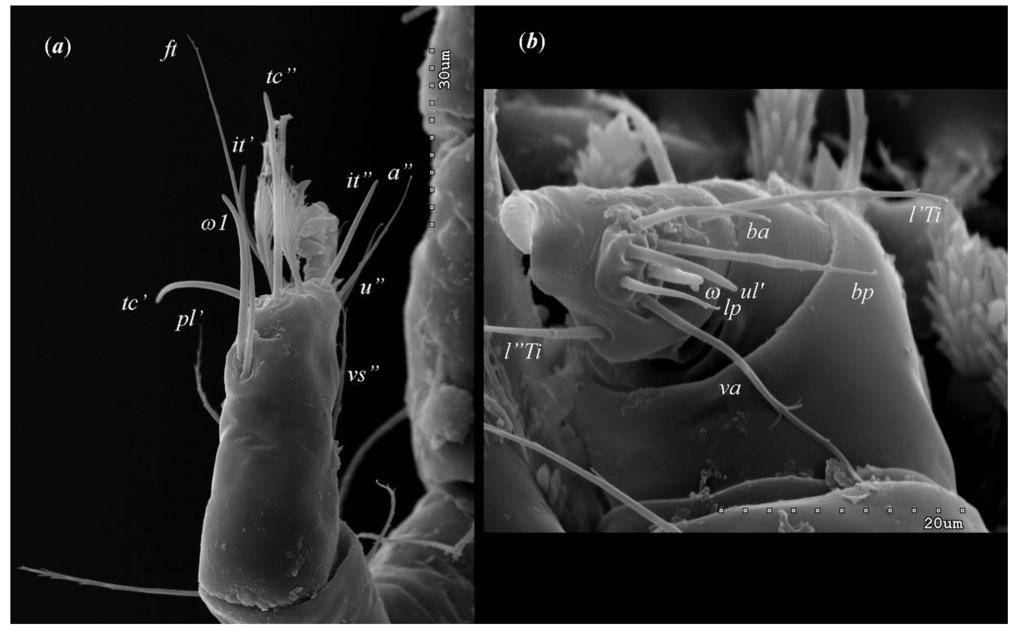 Preprints 79132 g004