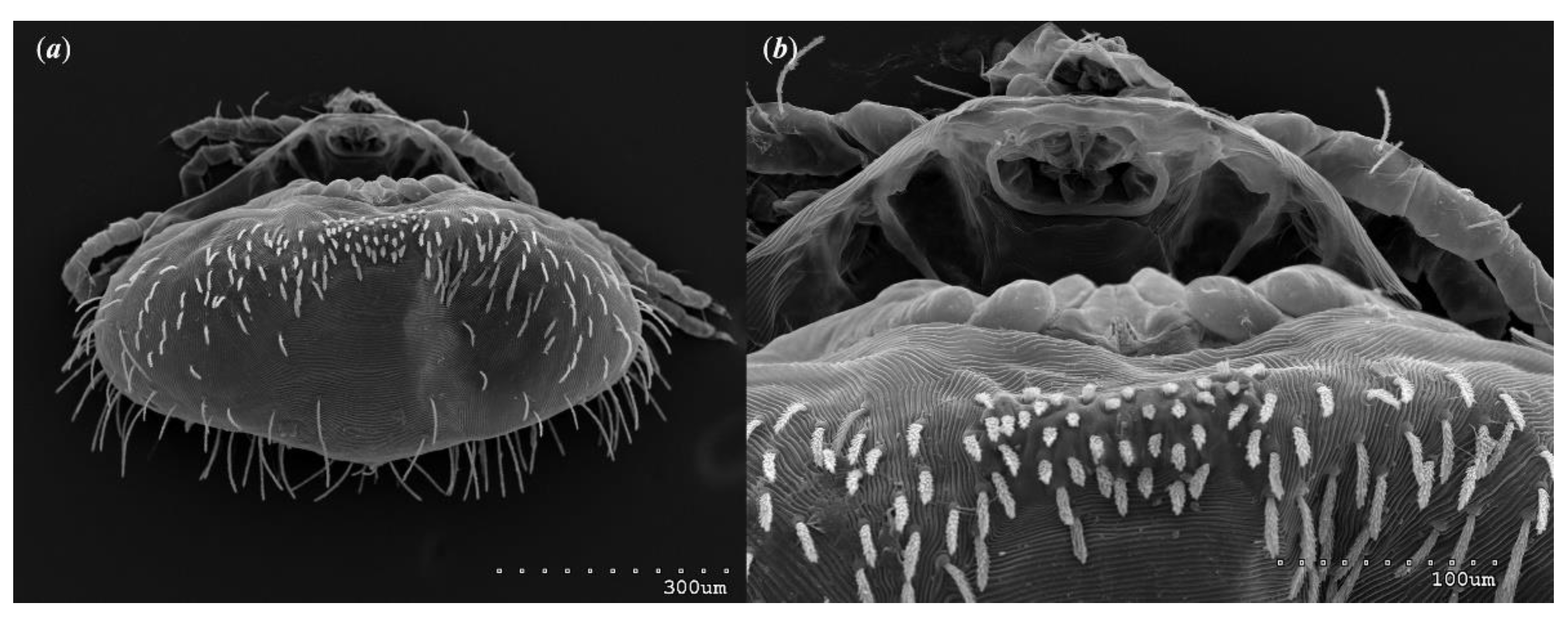 Preprints 79132 g008