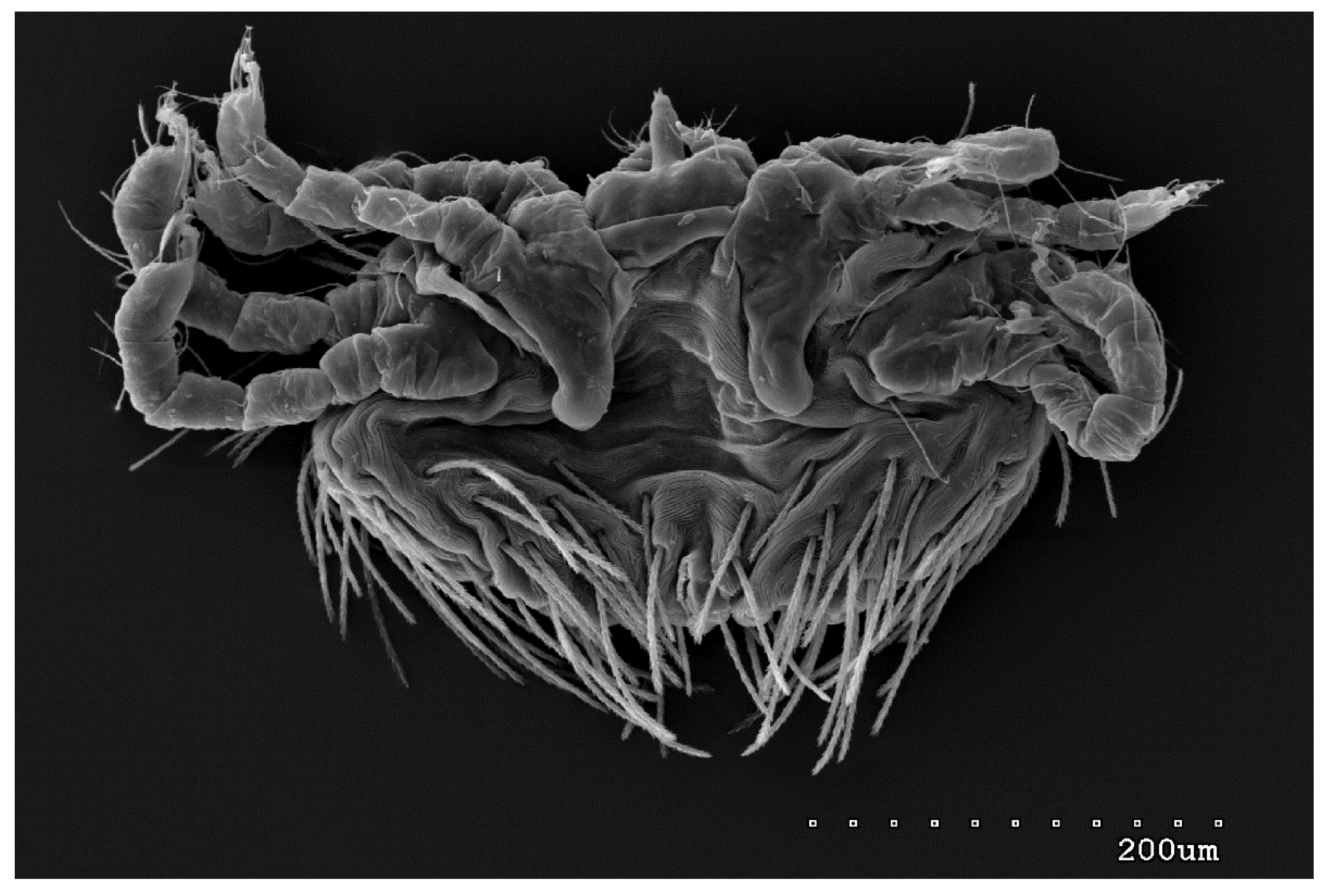 Preprints 79132 g012