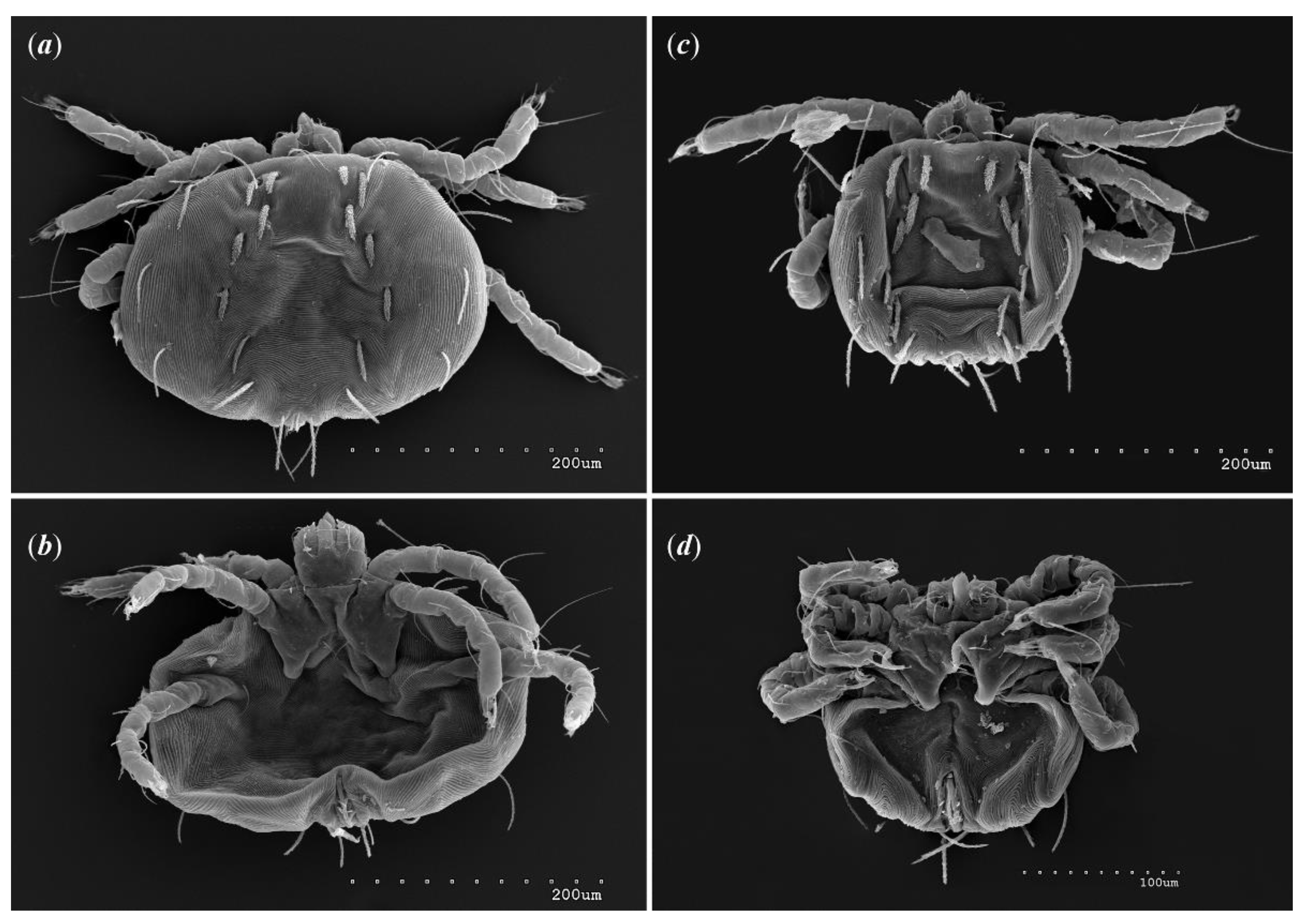 Preprints 79132 g013