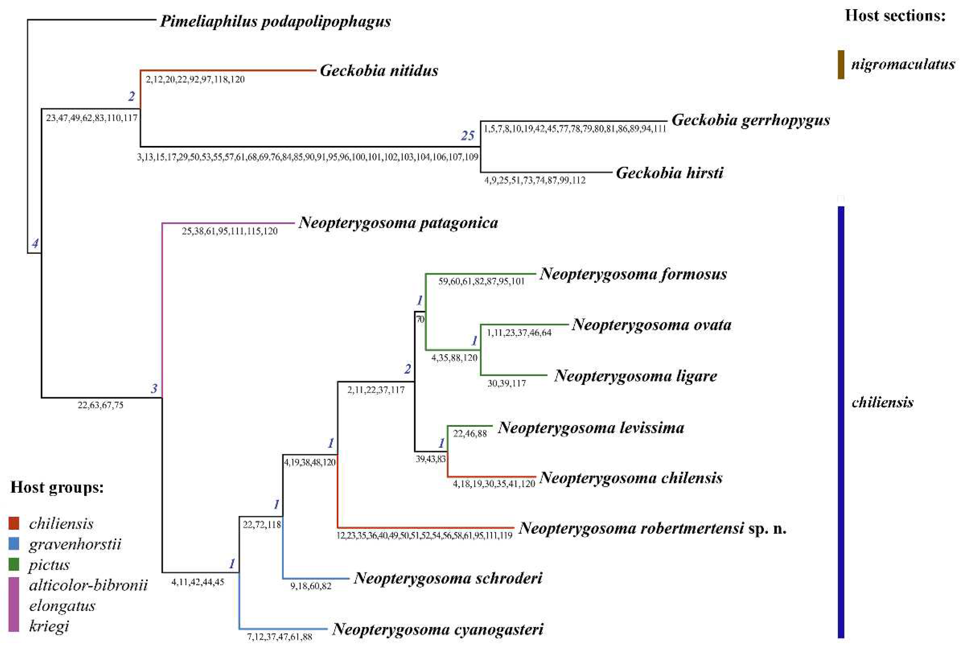 Preprints 79132 g015