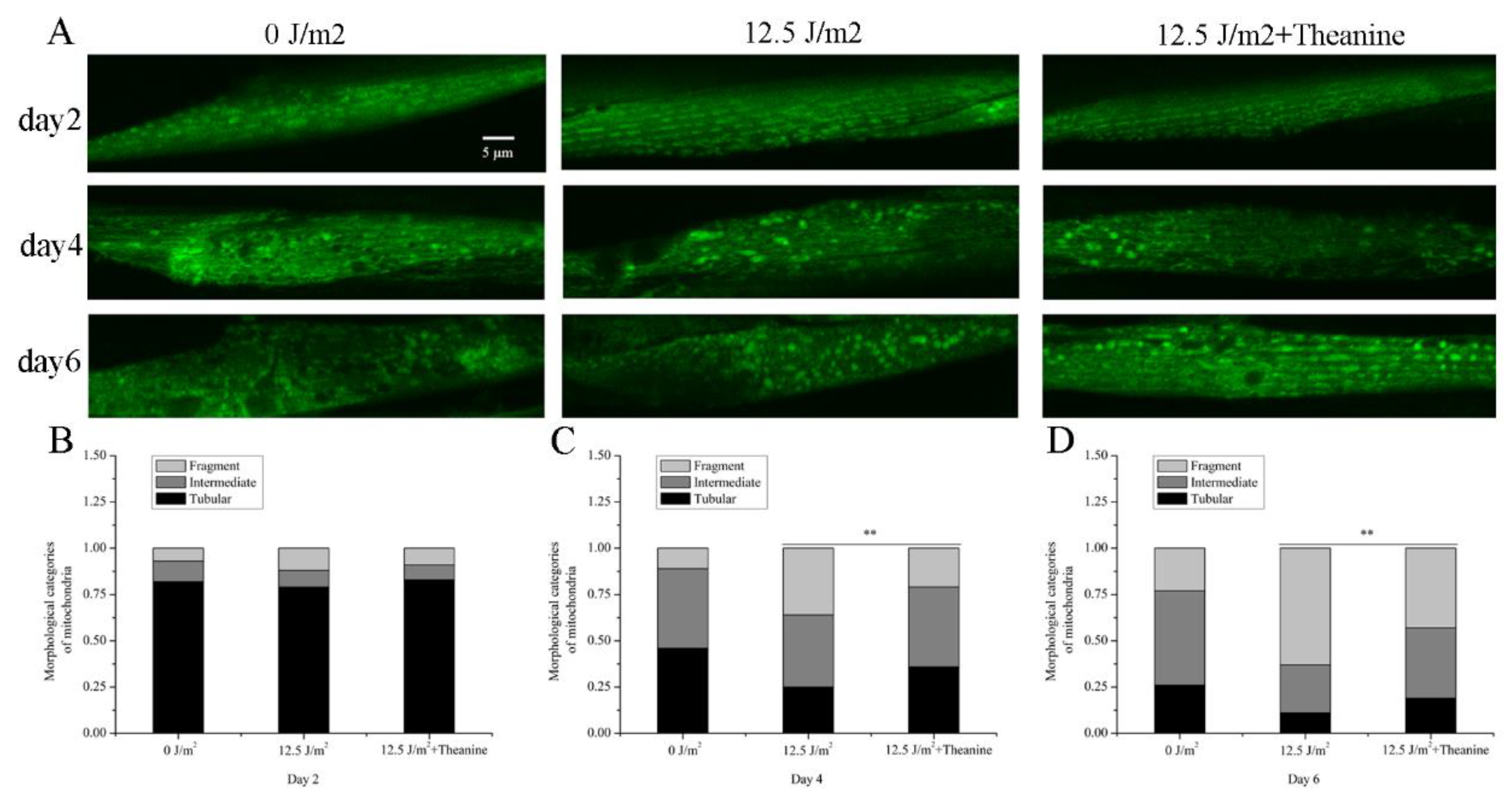 Preprints 100605 g003