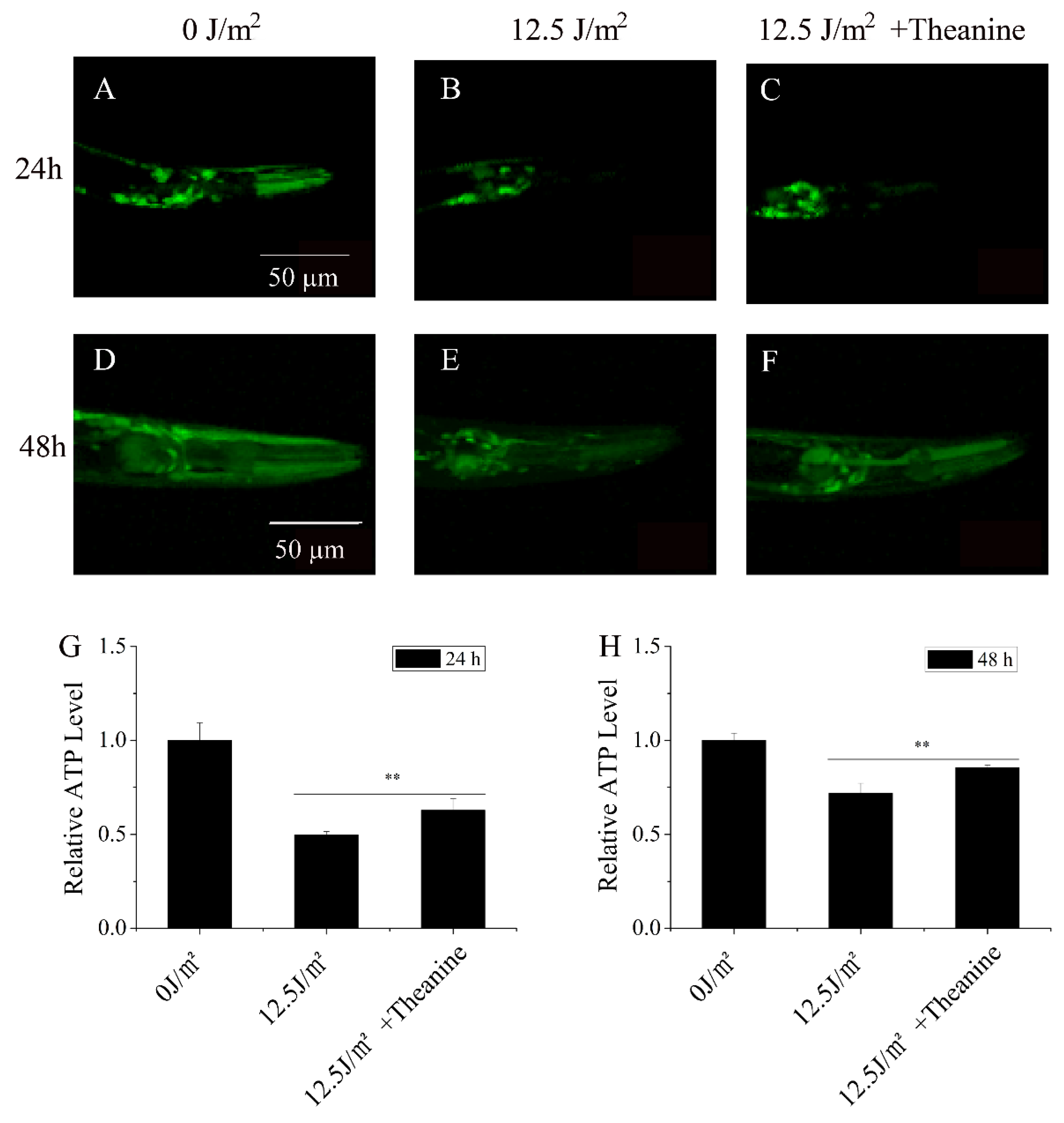 Preprints 100605 g004