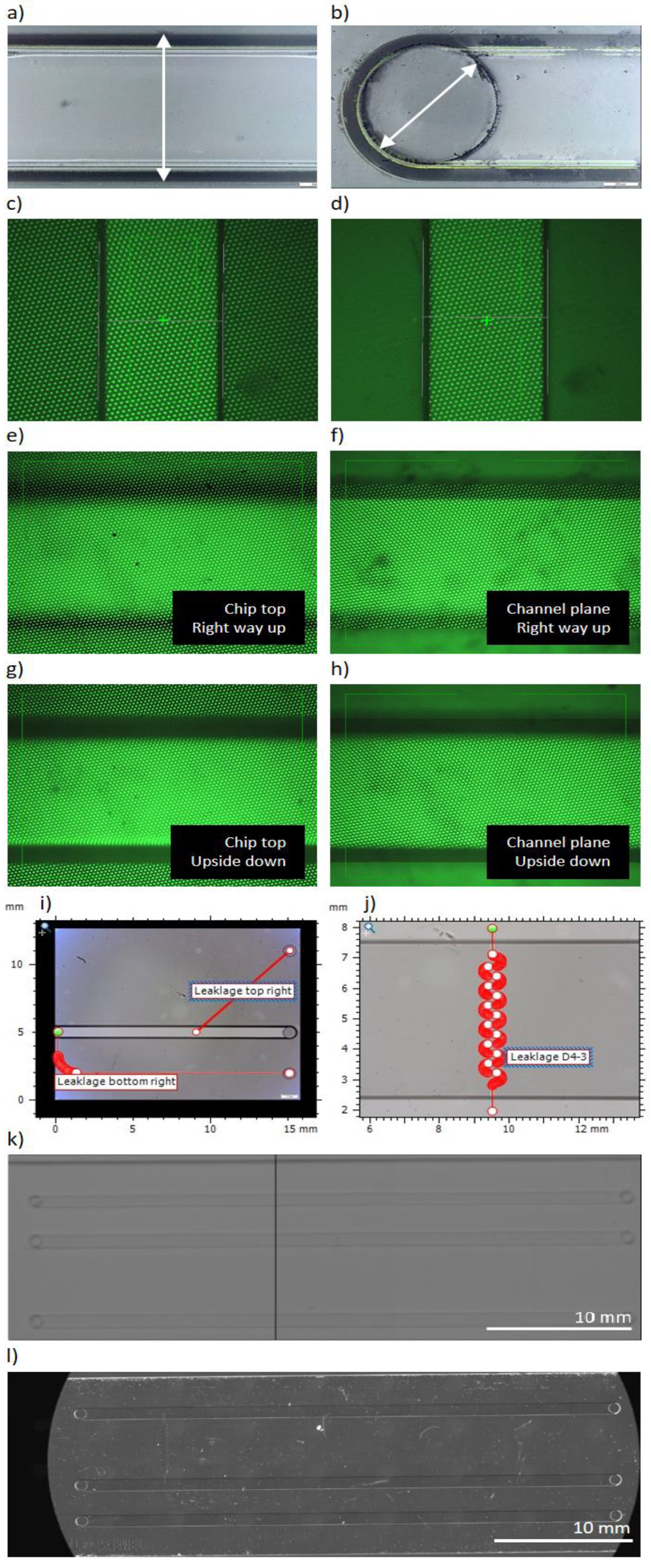 Preprints 117180 g006