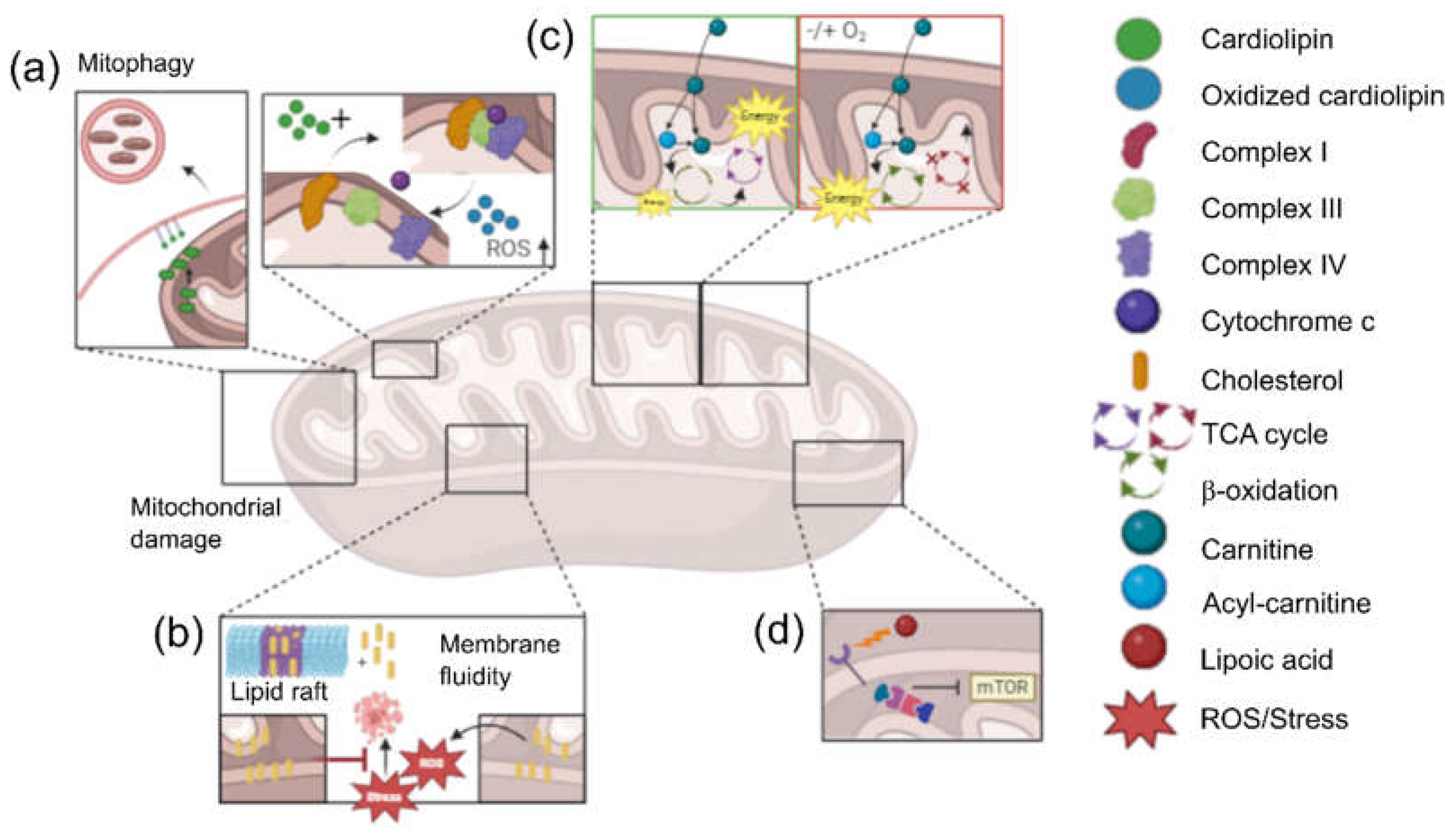 Preprints 110997 g001