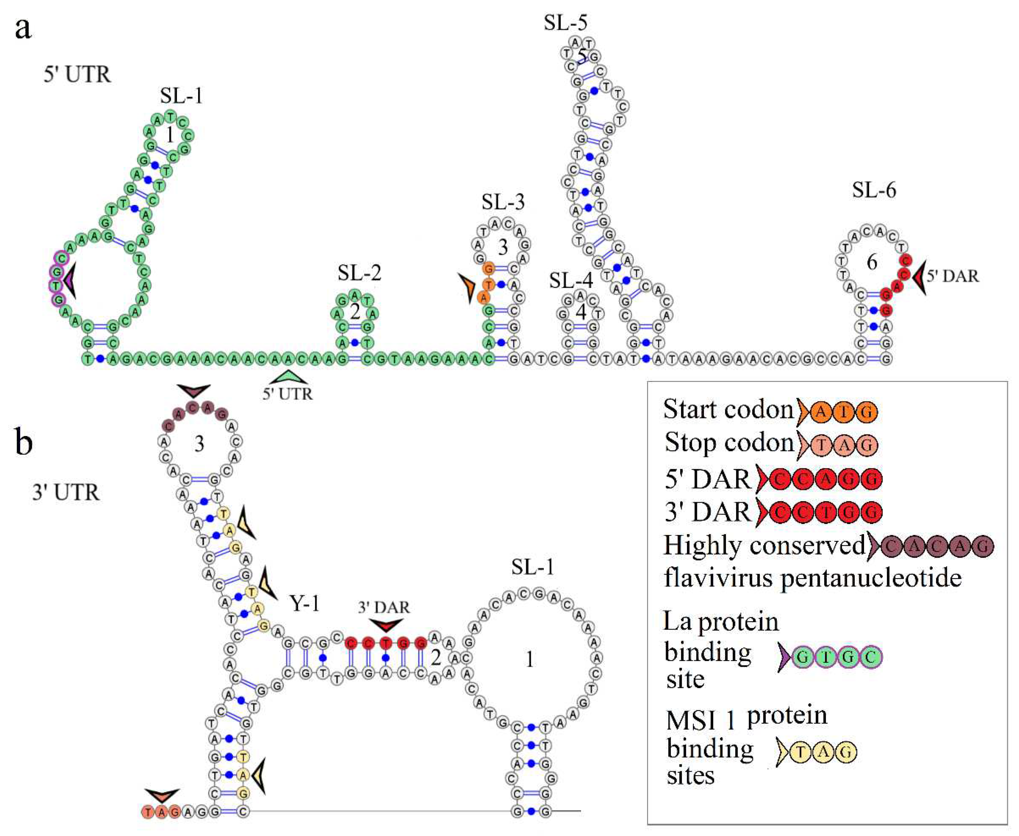 Preprints 95464 g002