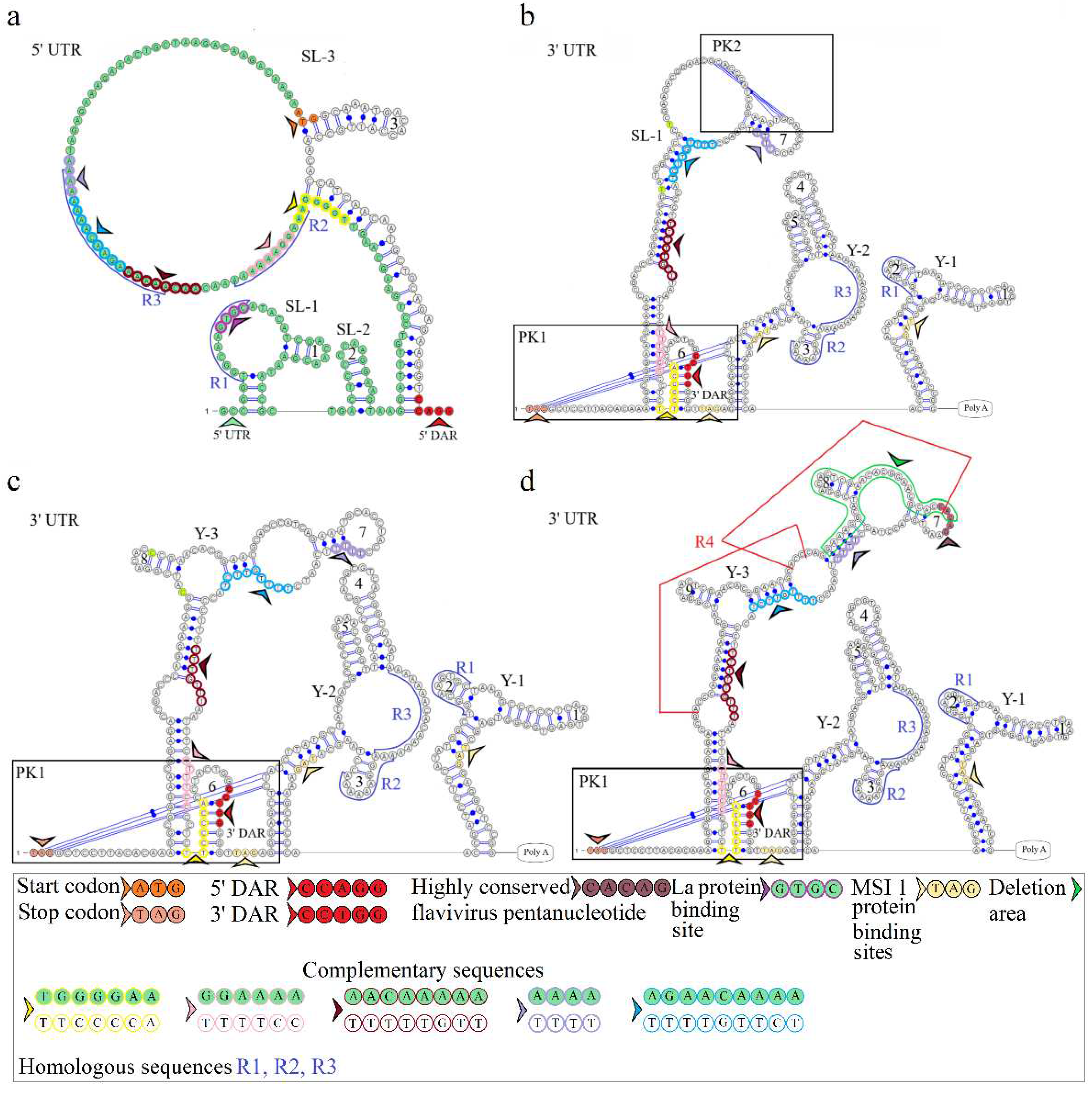 Preprints 95464 g003