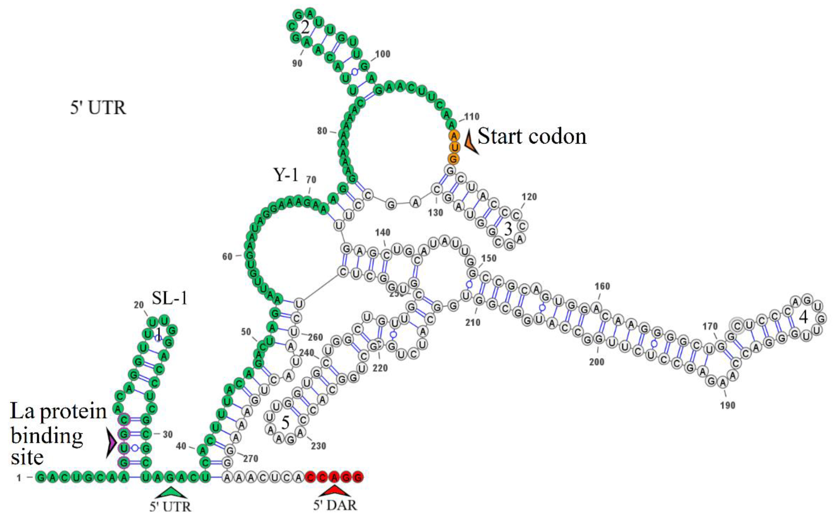 Preprints 95464 g004