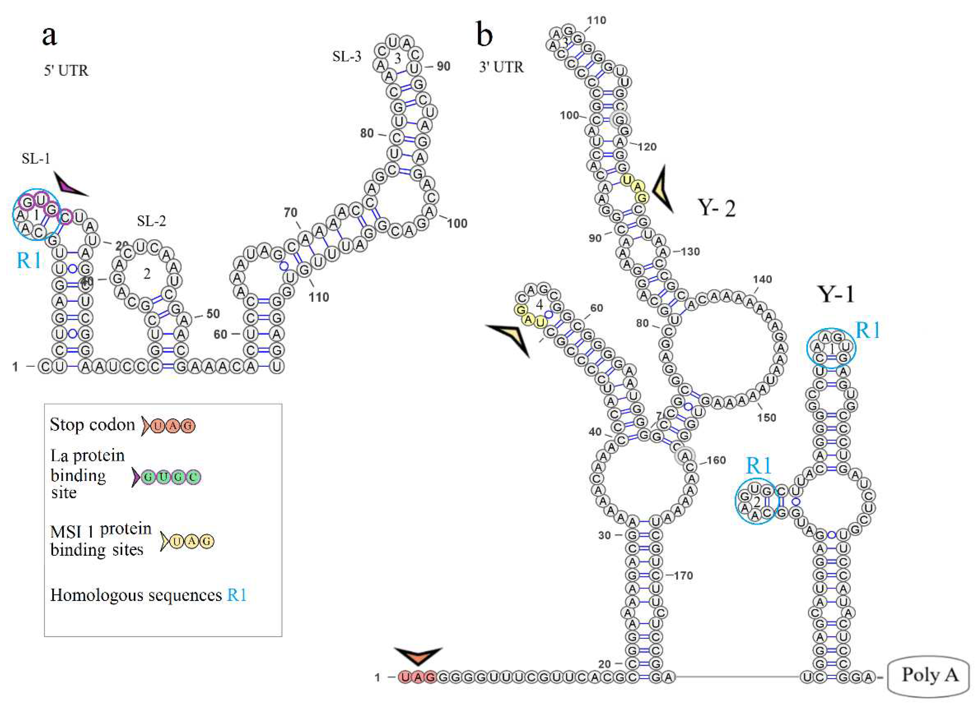 Preprints 95464 g005