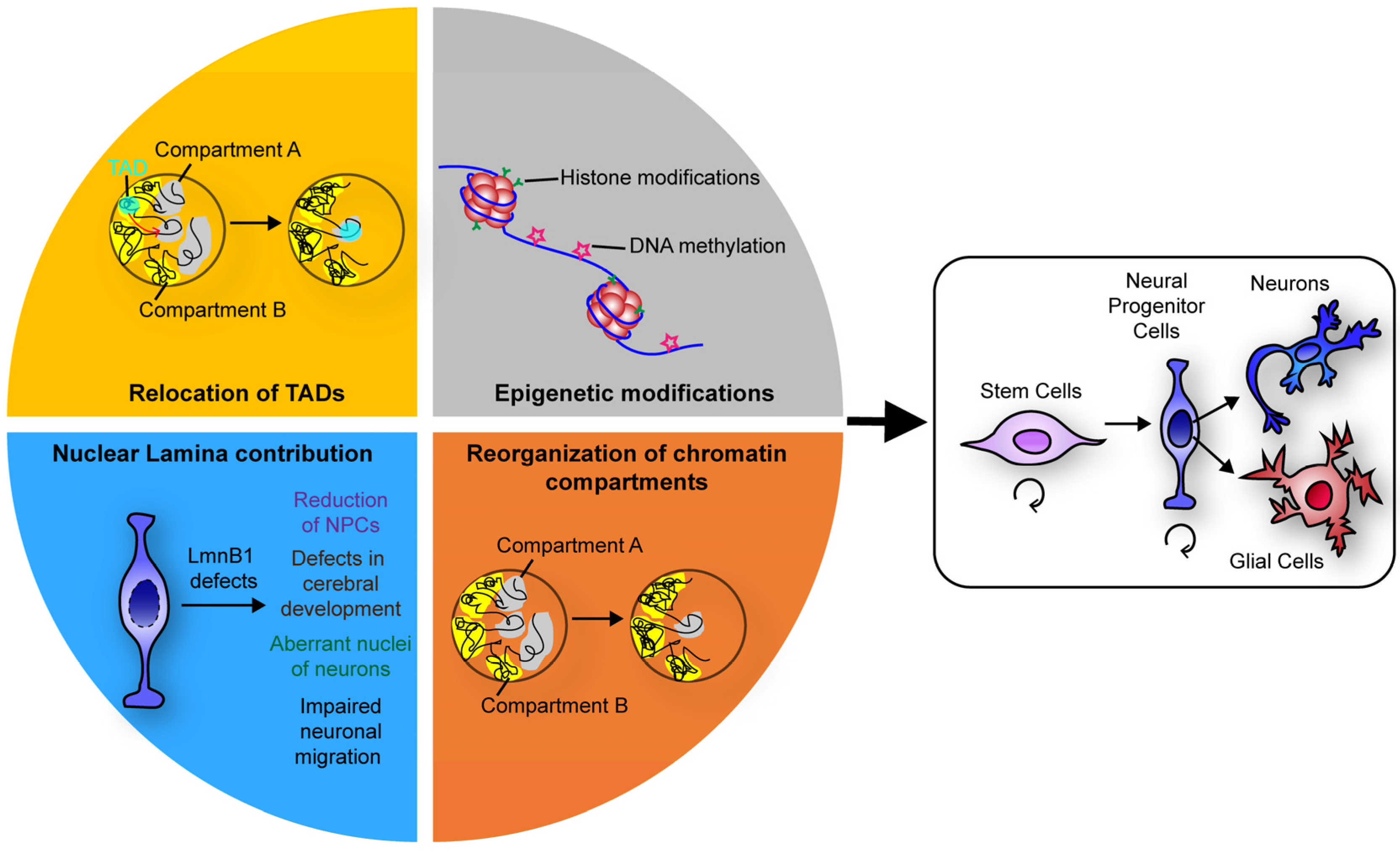 Preprints 71626 g001