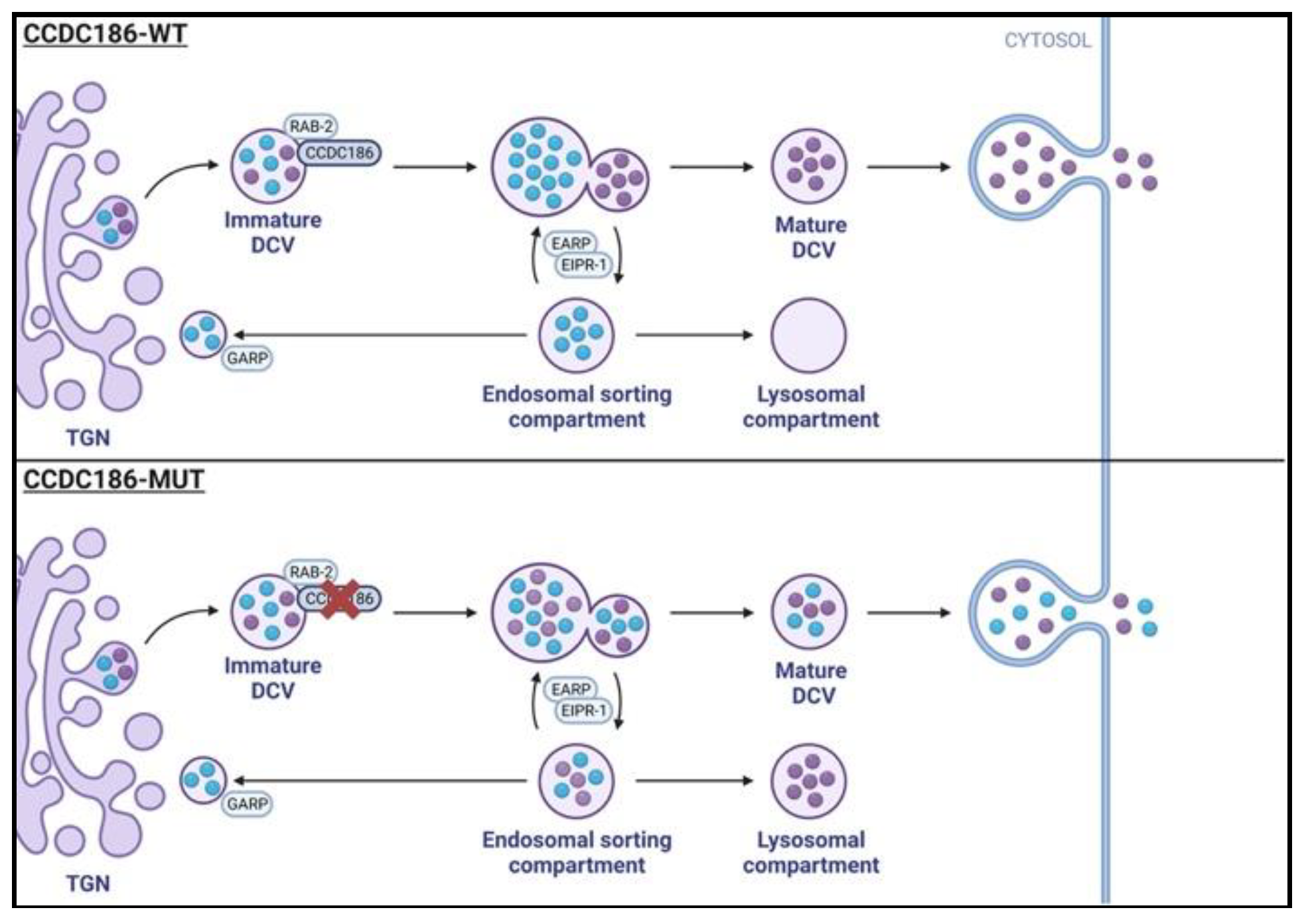 Preprints 78804 g001