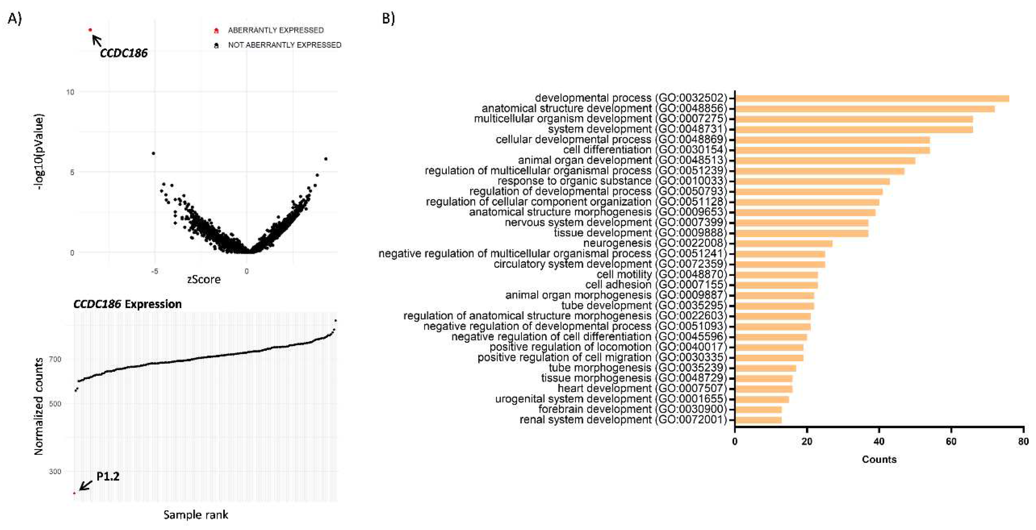 Preprints 78804 g004