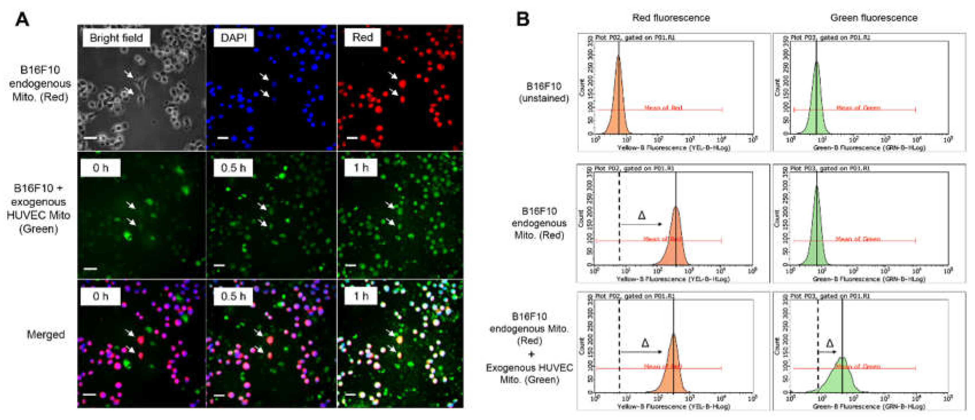 Preprints 71189 g002