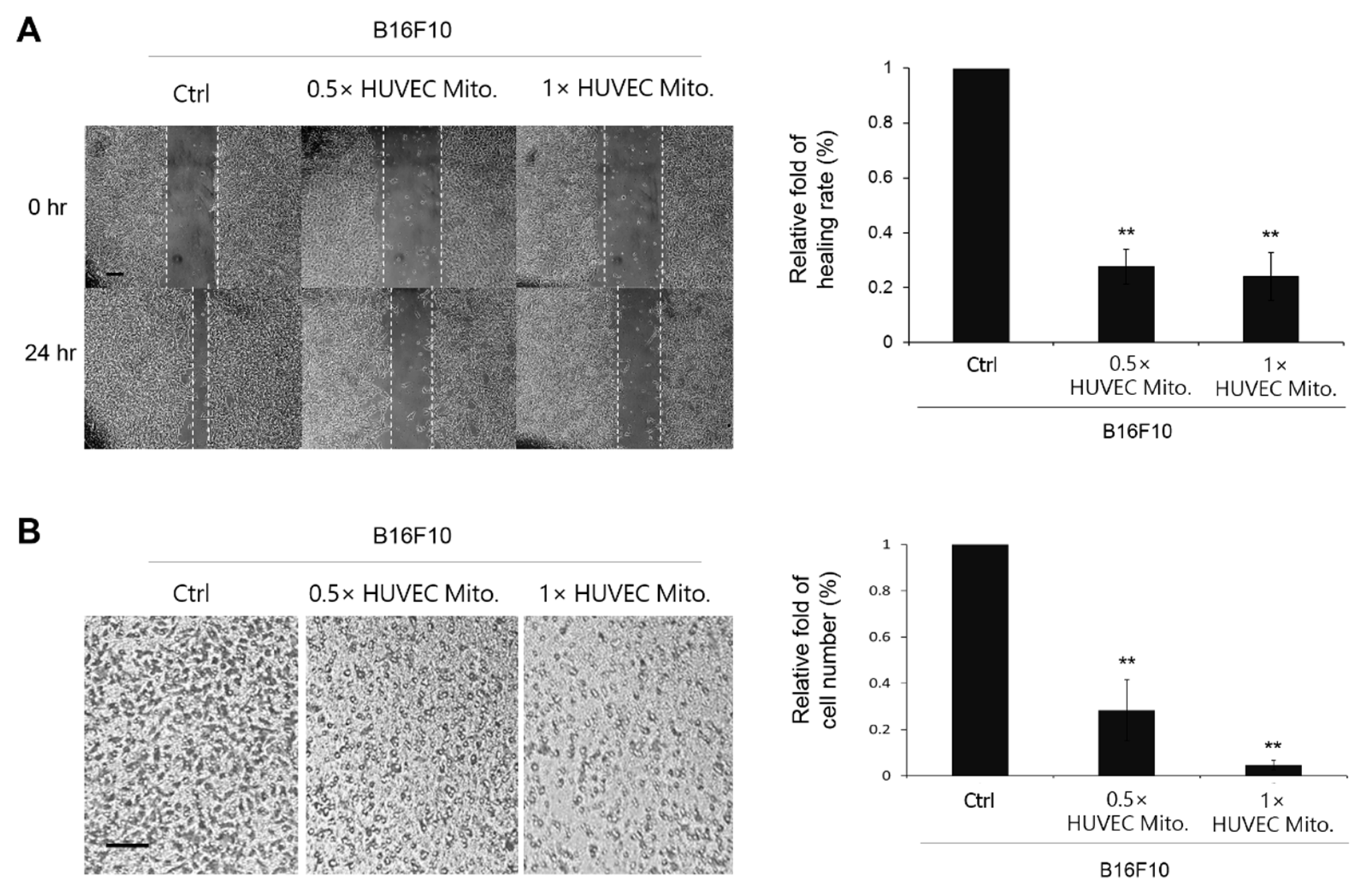 Preprints 71189 g003