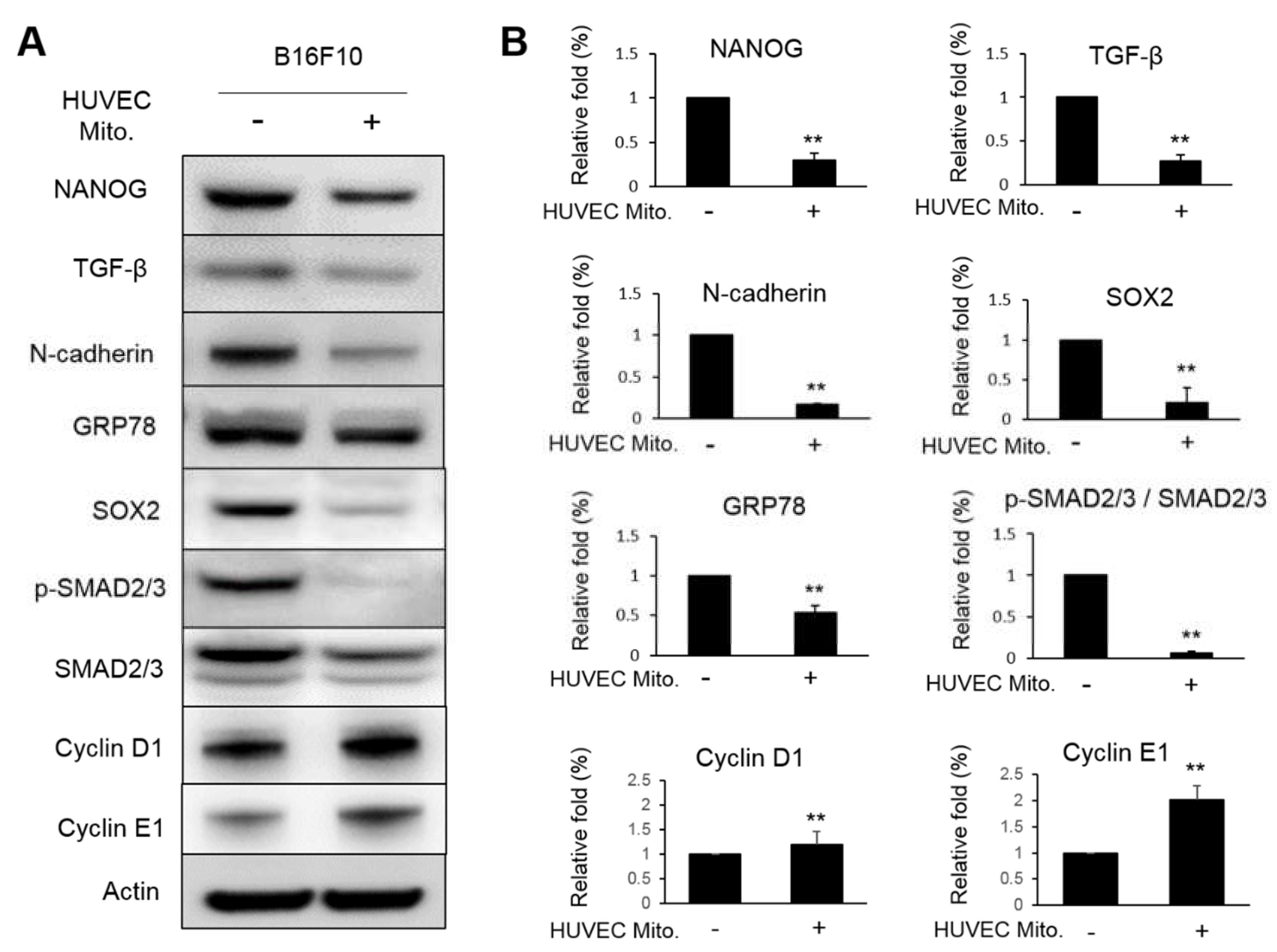 Preprints 71189 g004