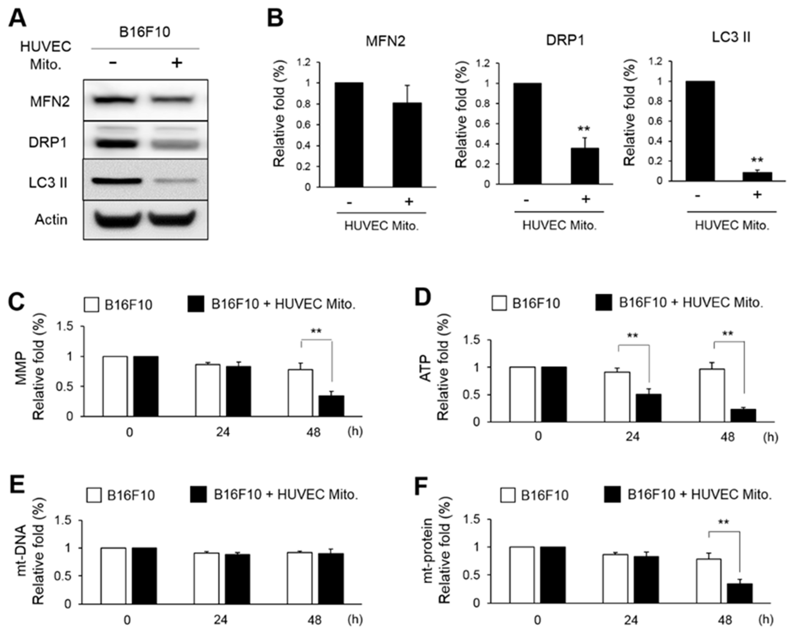 Preprints 71189 g005