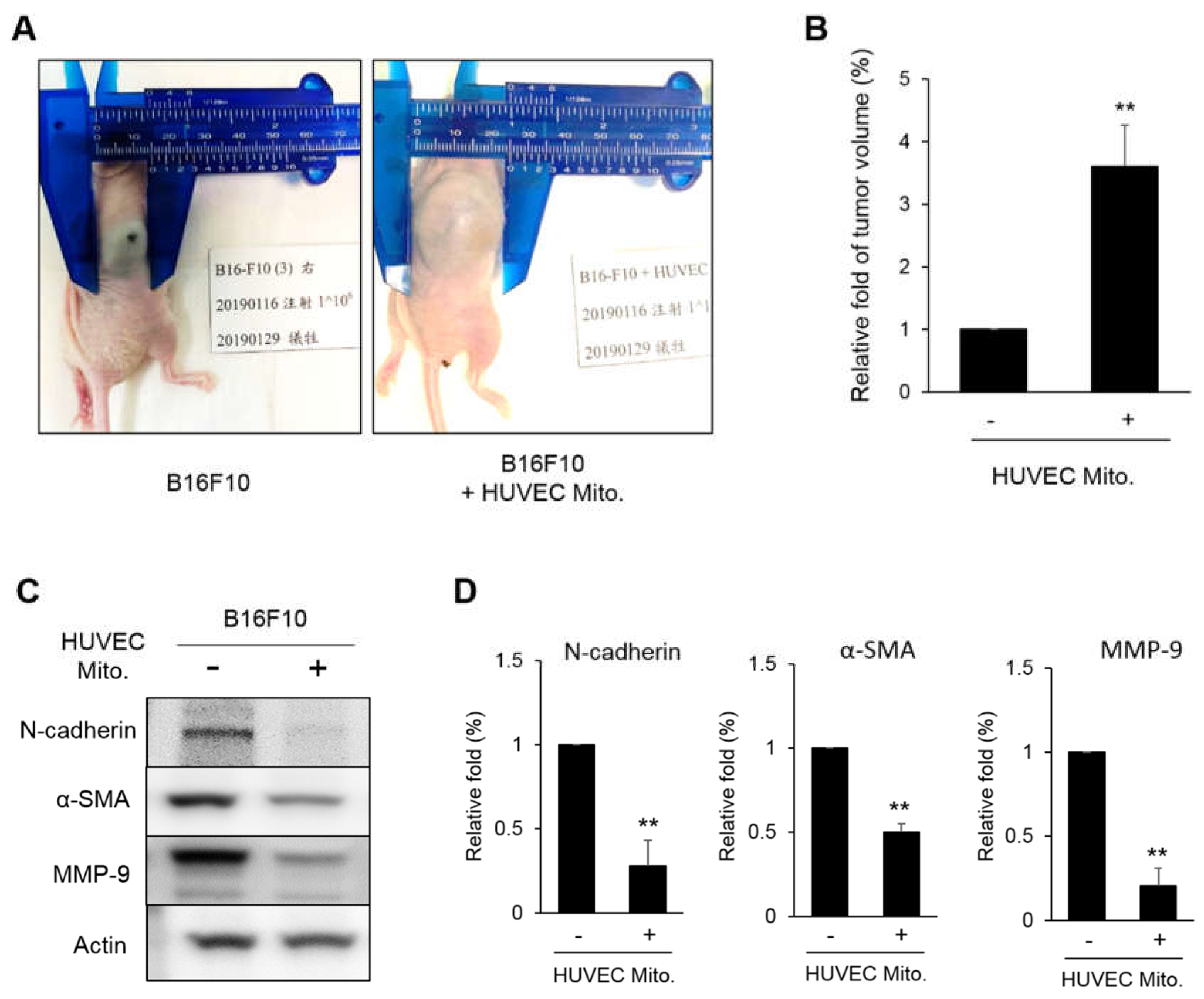 Preprints 71189 g006