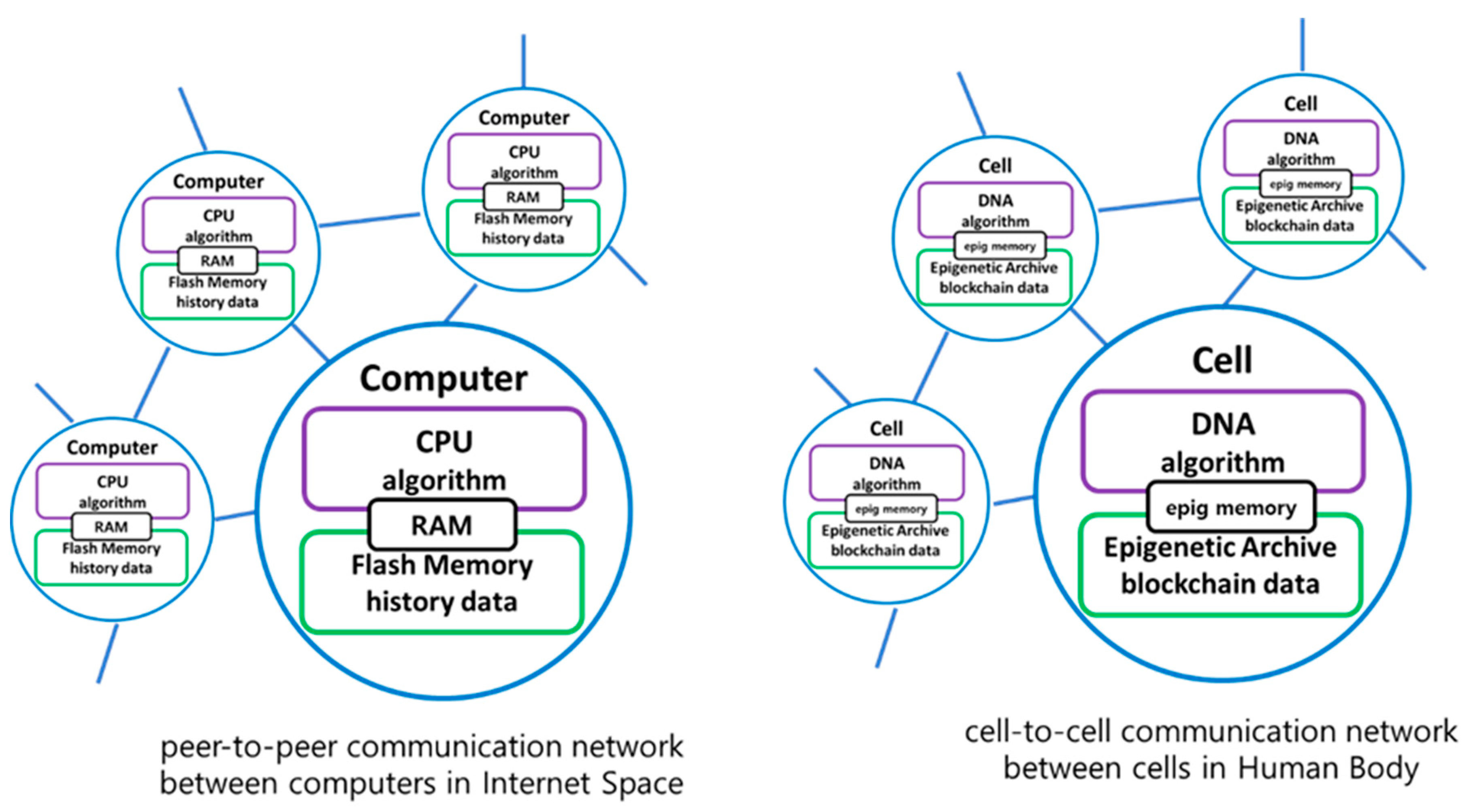 Preprints 94319 g001