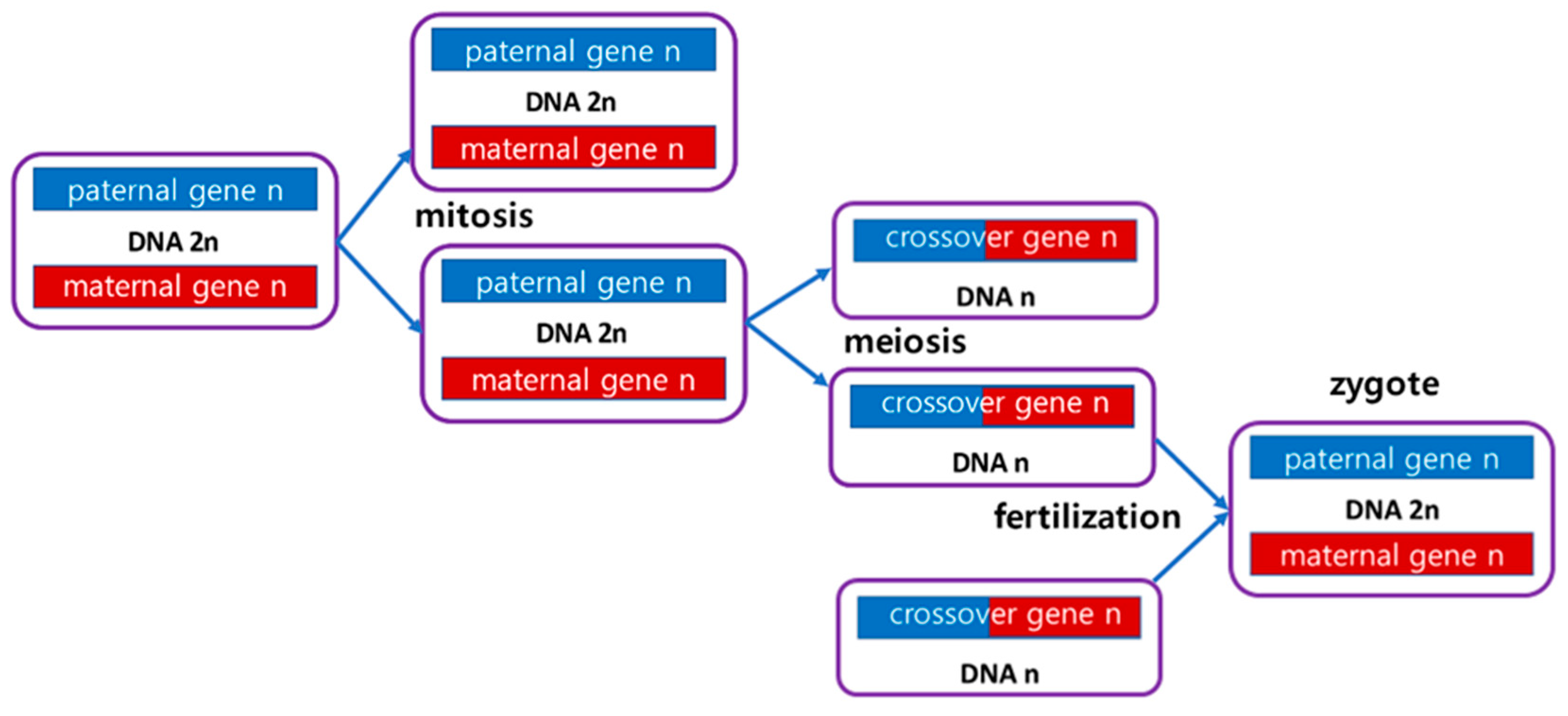 Preprints 94319 g002