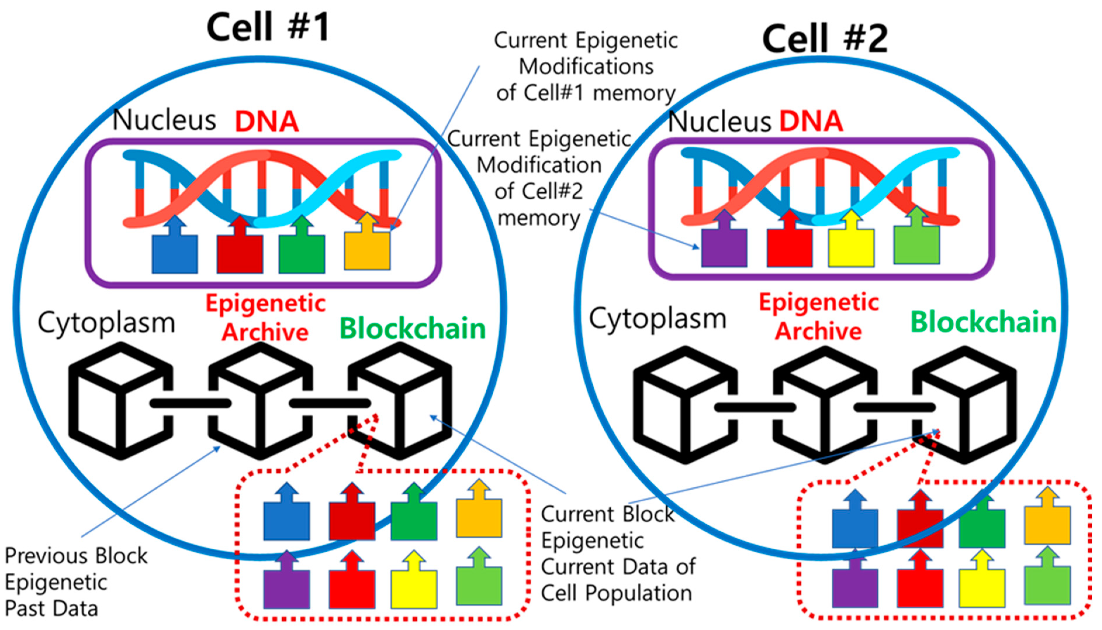 Preprints 94319 g005