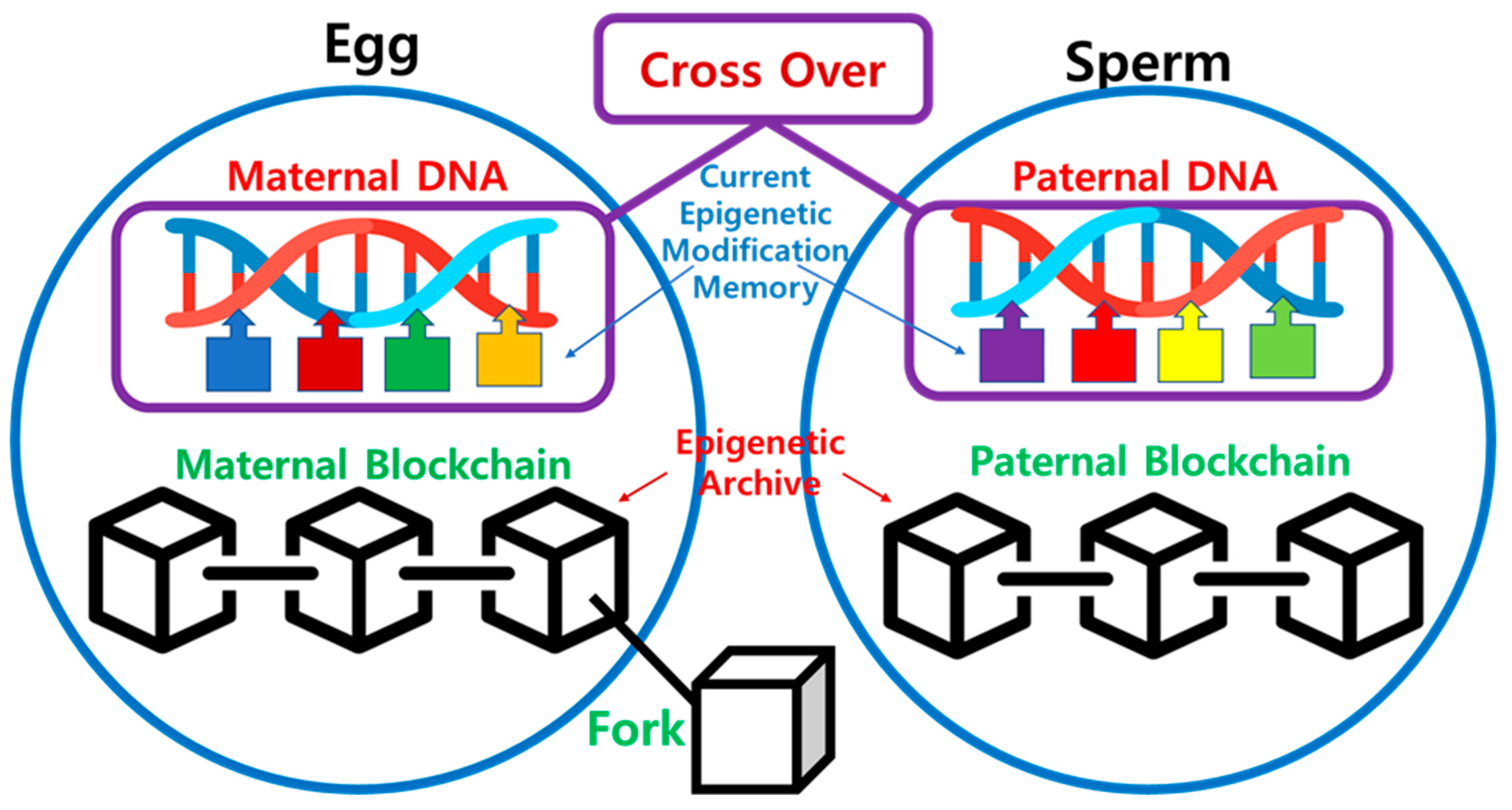 Preprints 94319 g006