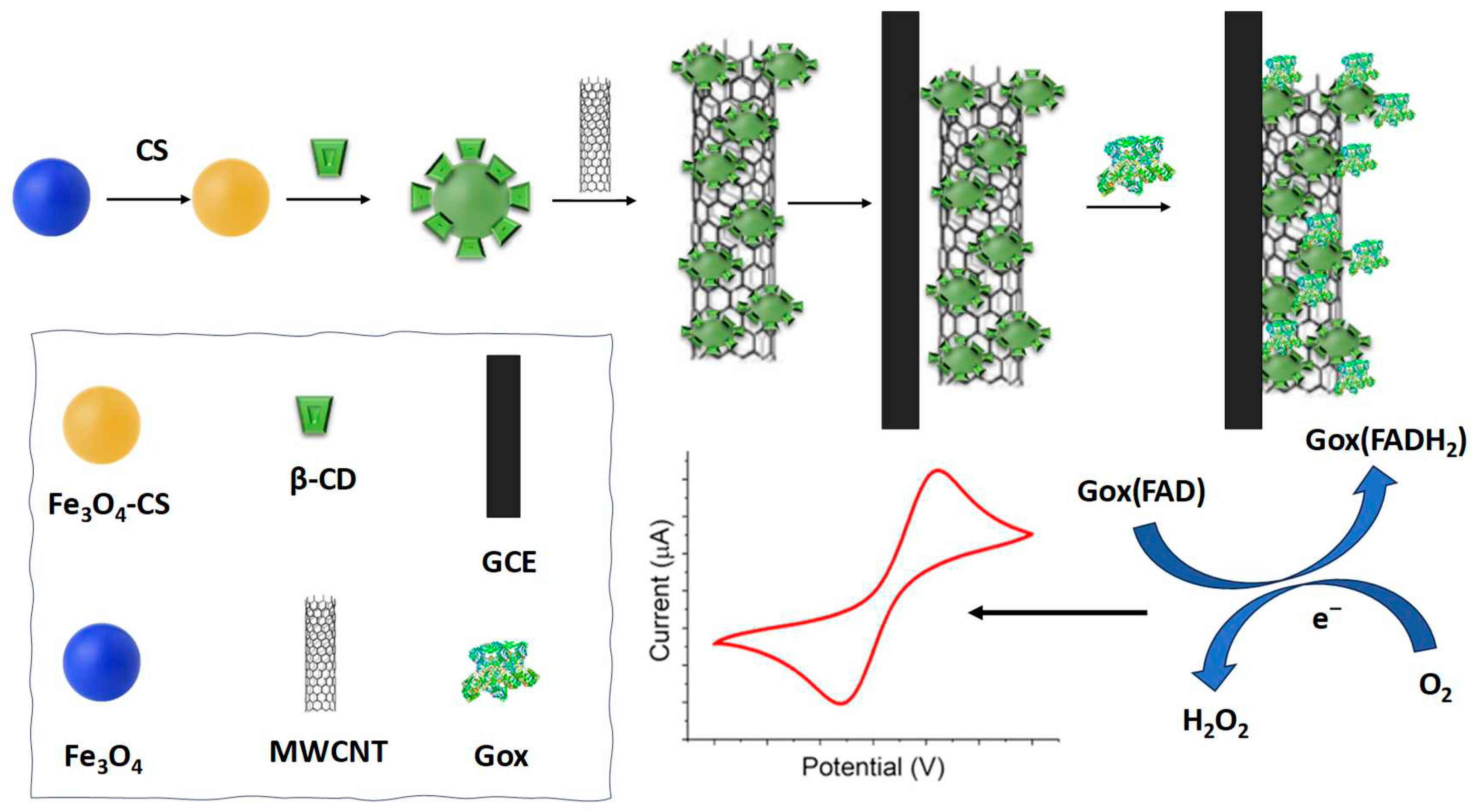 Preprints 79958 g002