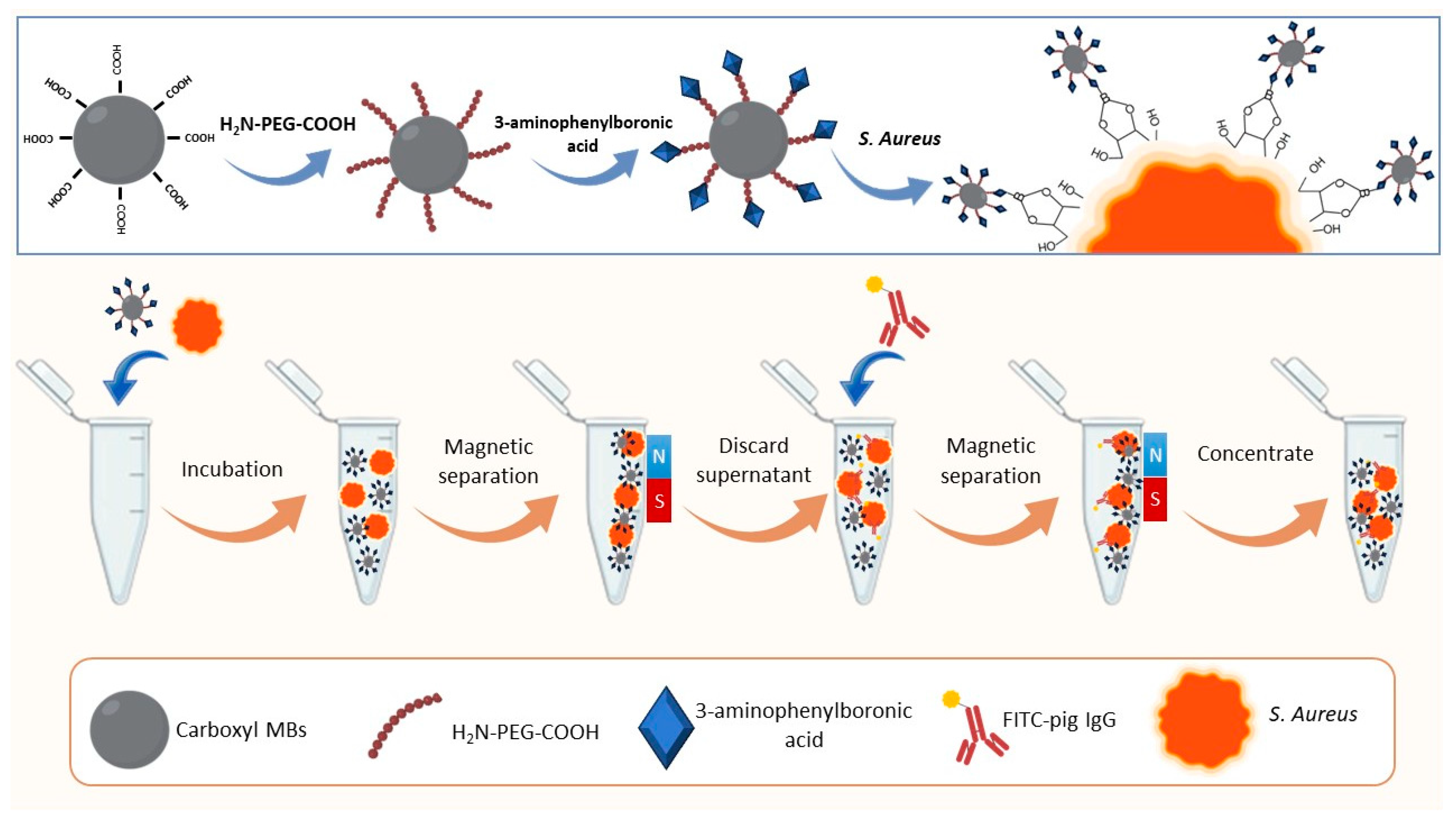 Preprints 79958 g003