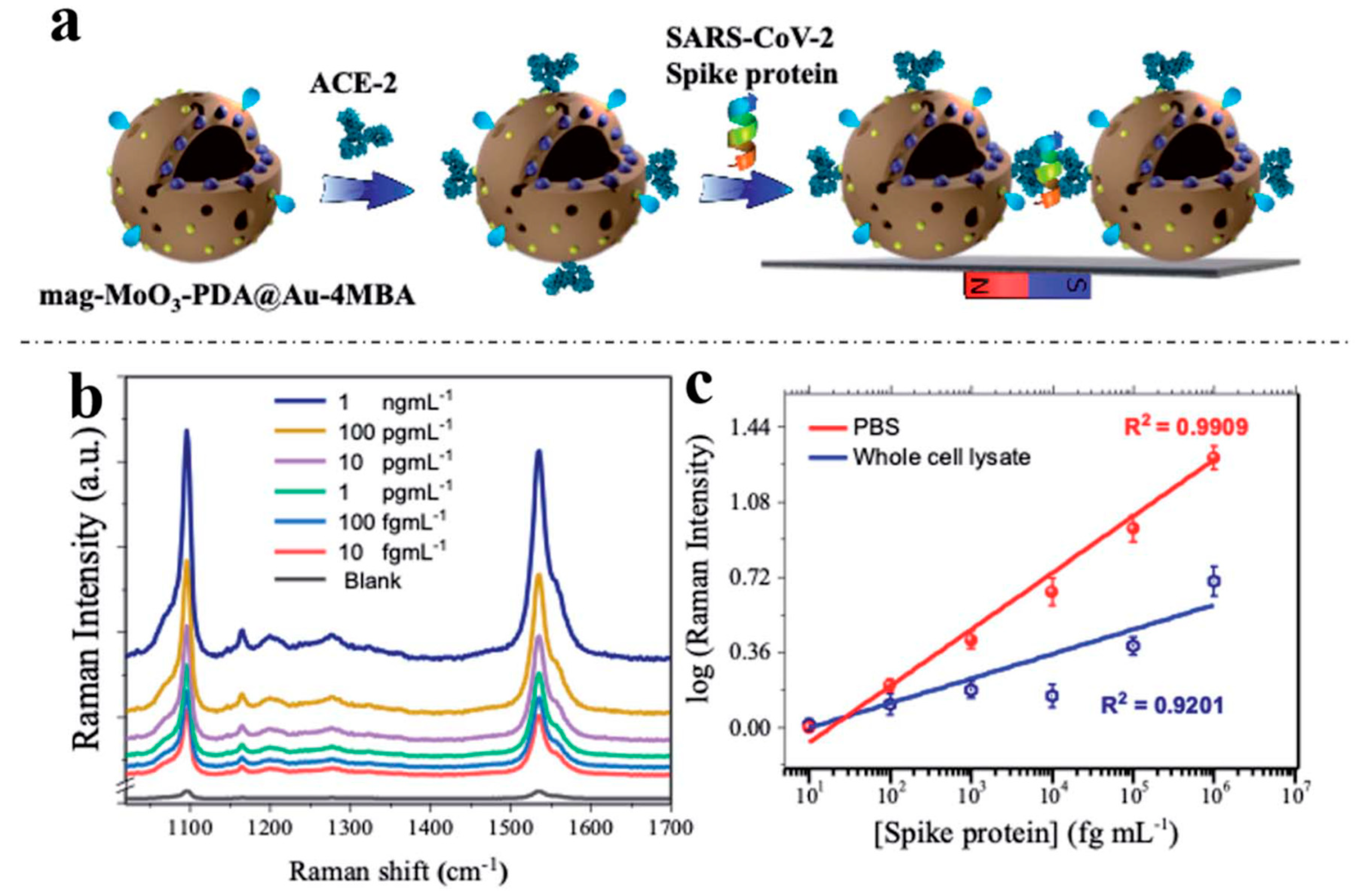 Preprints 79958 g007