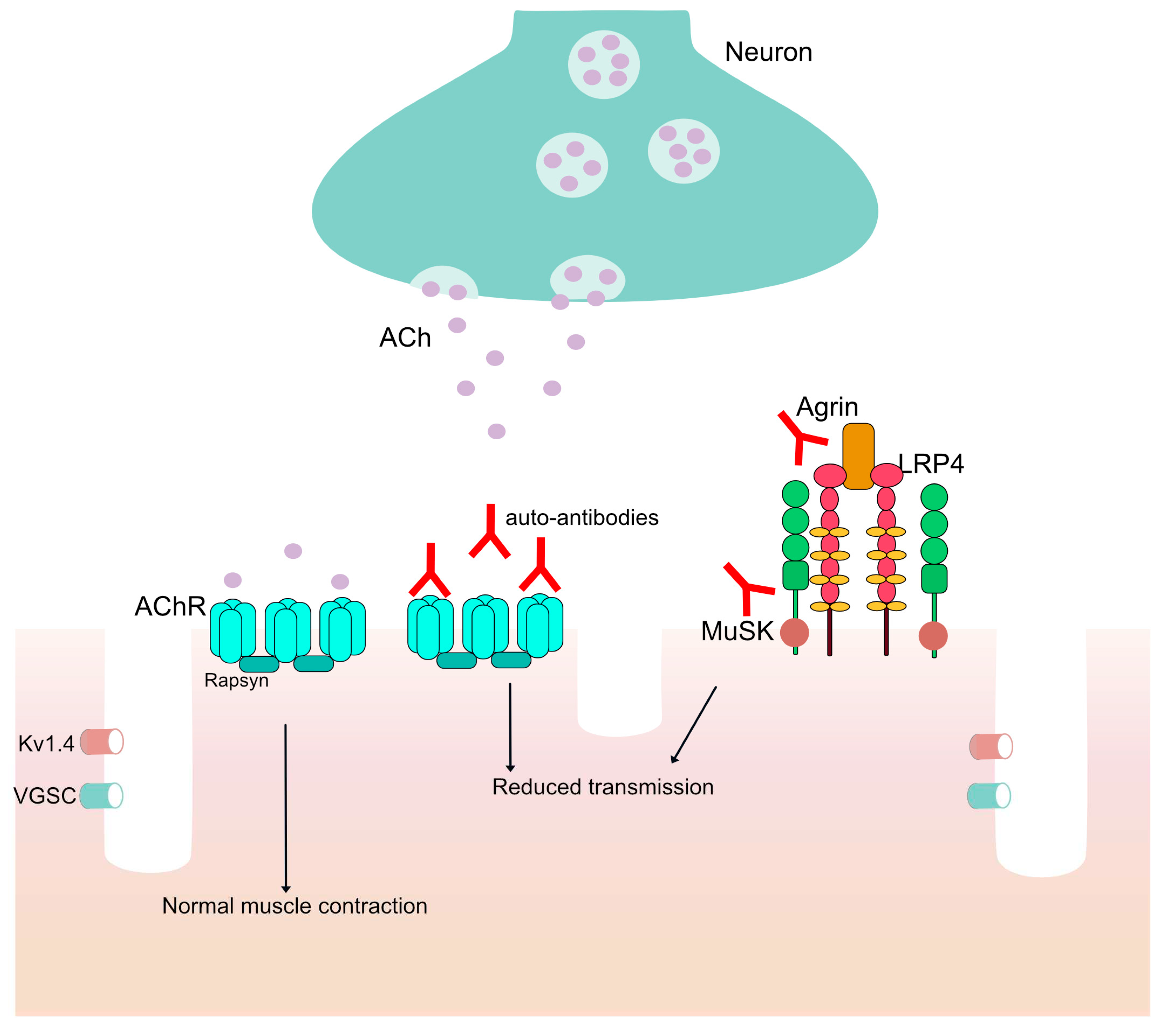 Preprints 86848 g001